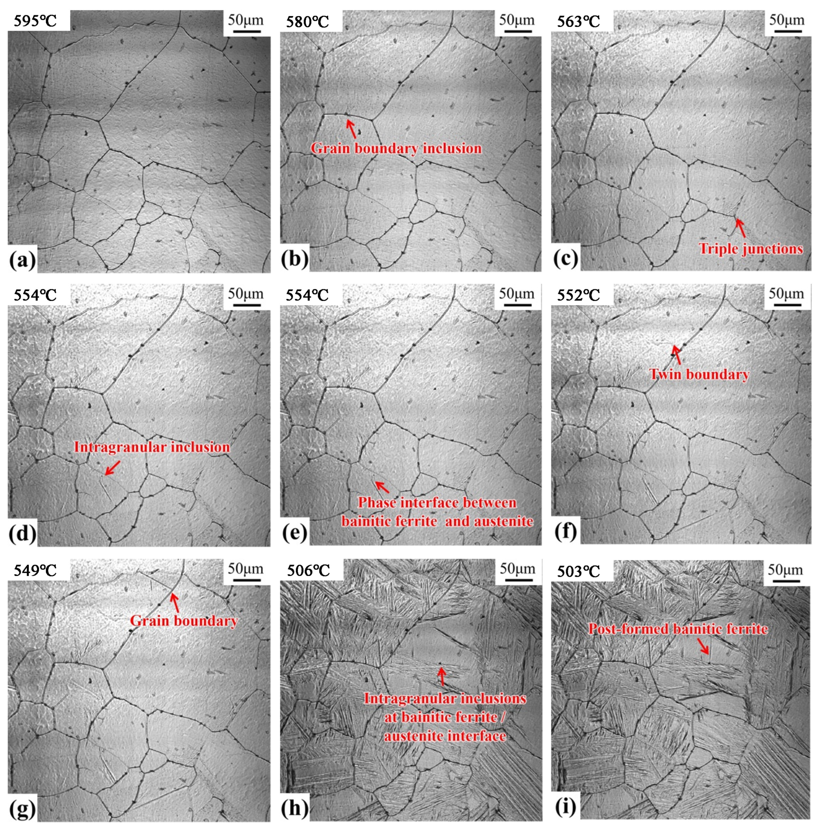 Materials 17 00613 g007