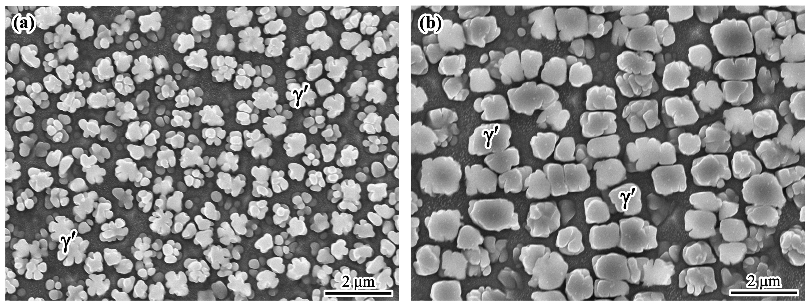 Materials 17 00614 g003