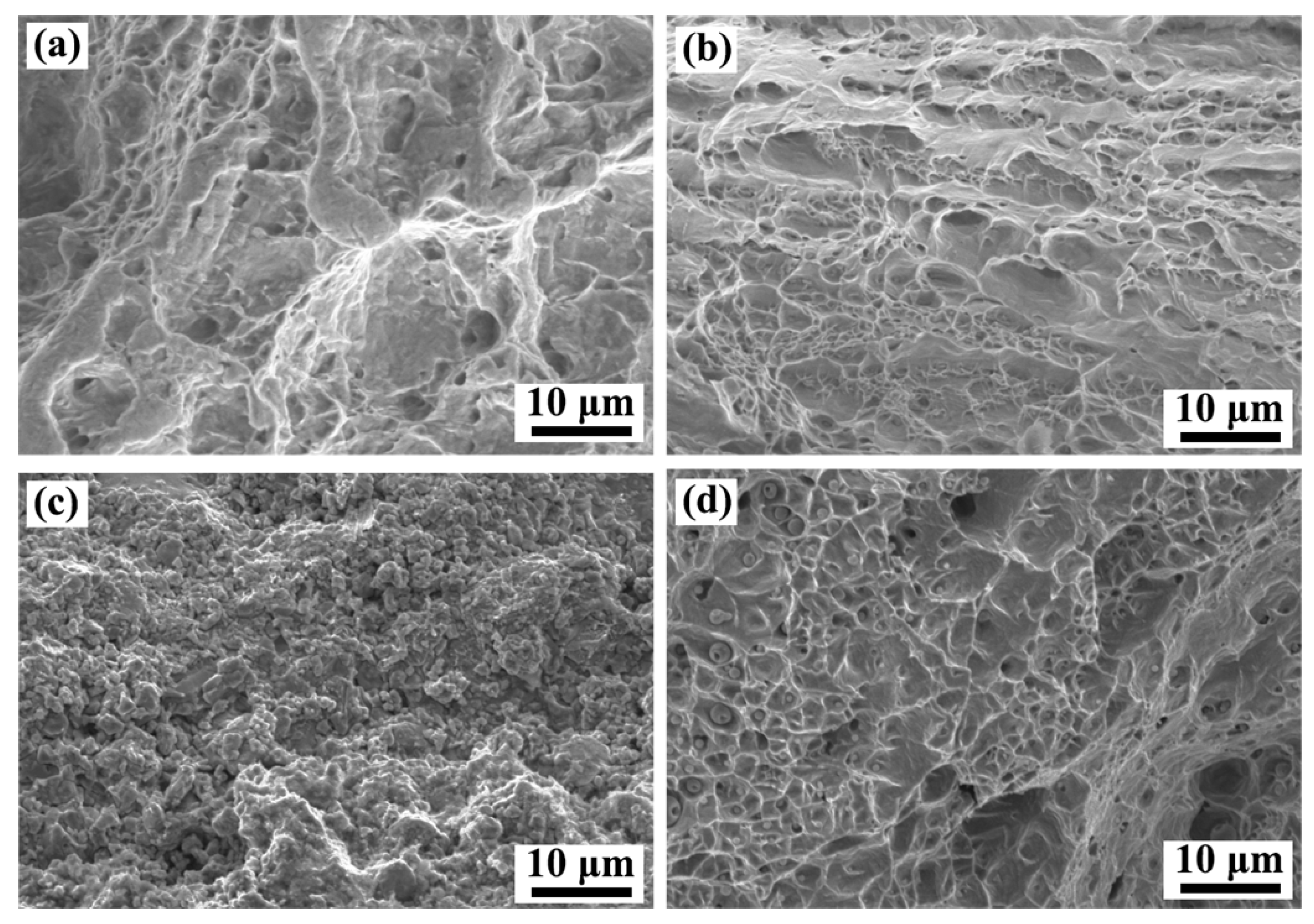 Materials 17 00623 g007