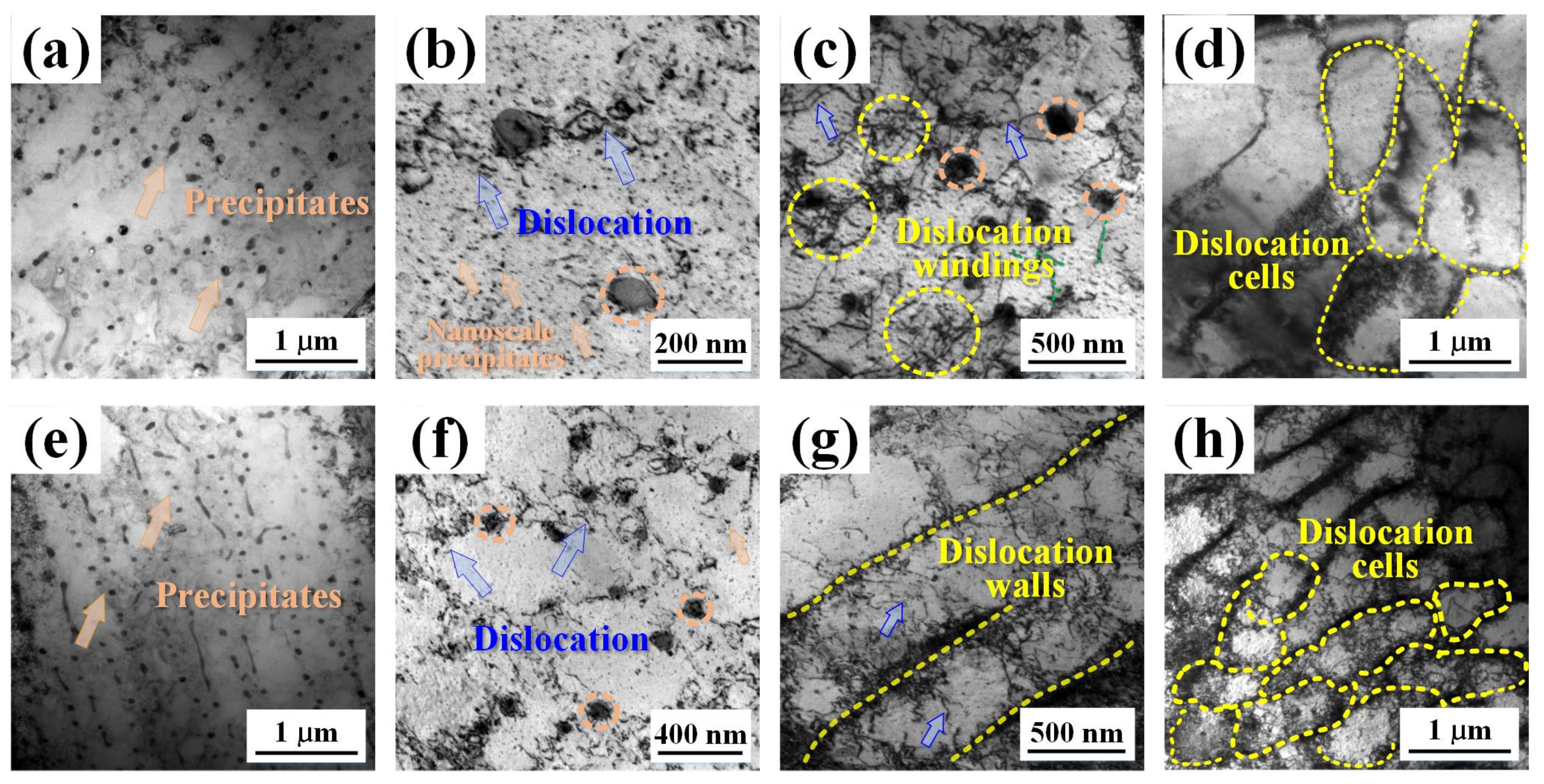 Materials 17 00624 g008