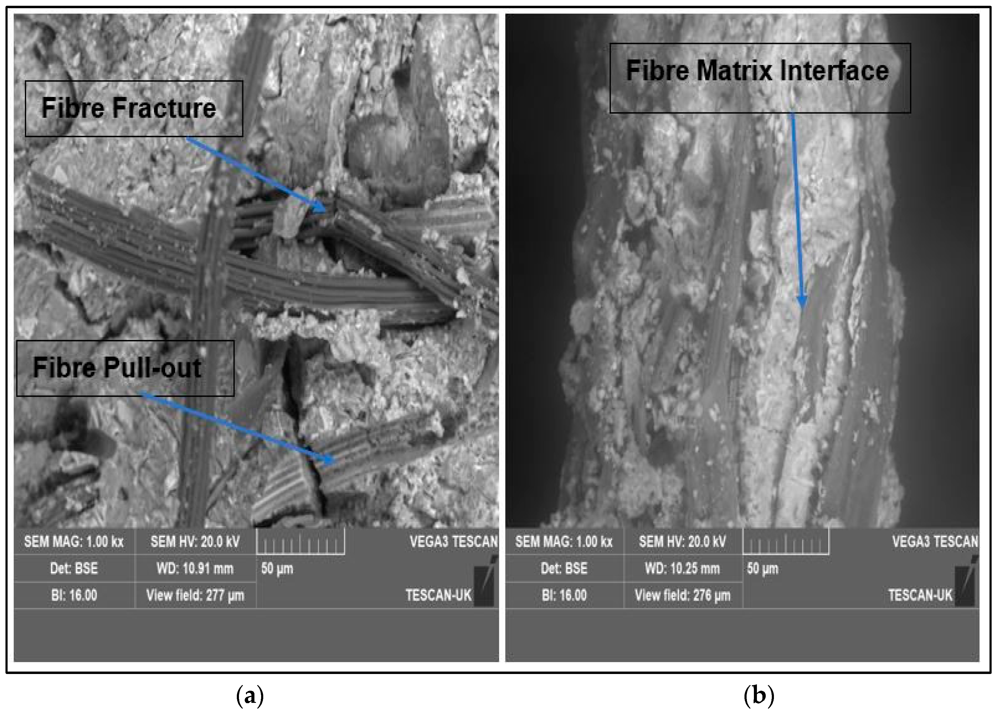 Materials 17 00646 g012