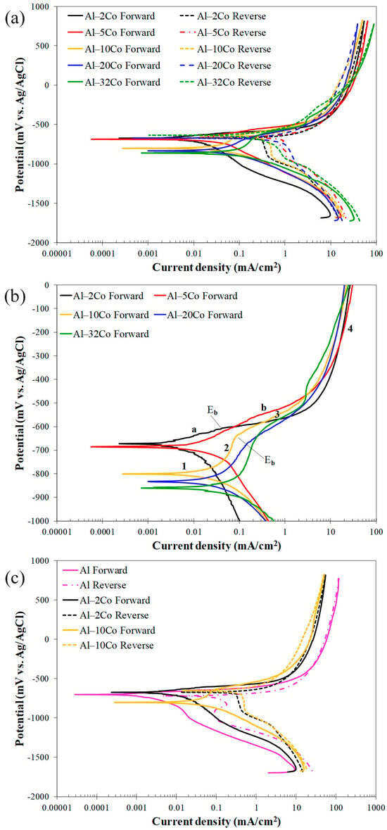 Anodic polarization curves of the corrosion behavior in dynamic and