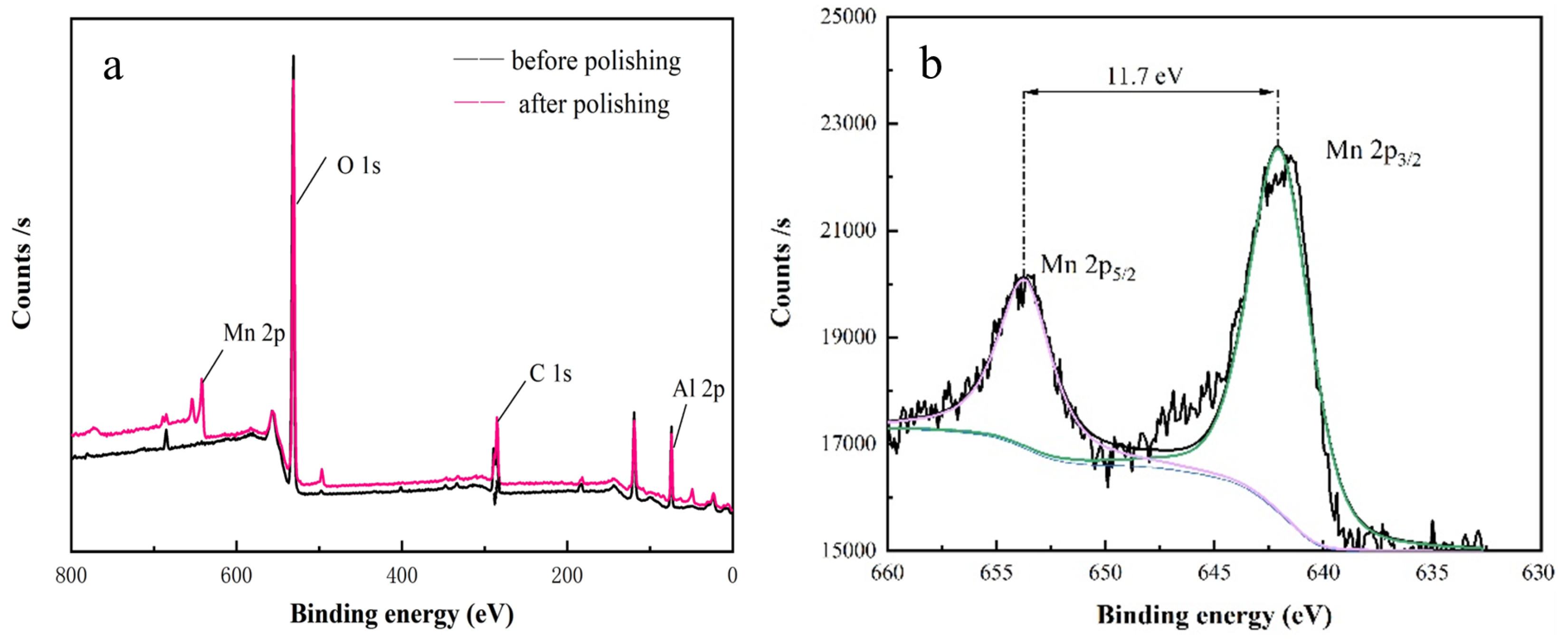 Materials 17 00679 g006