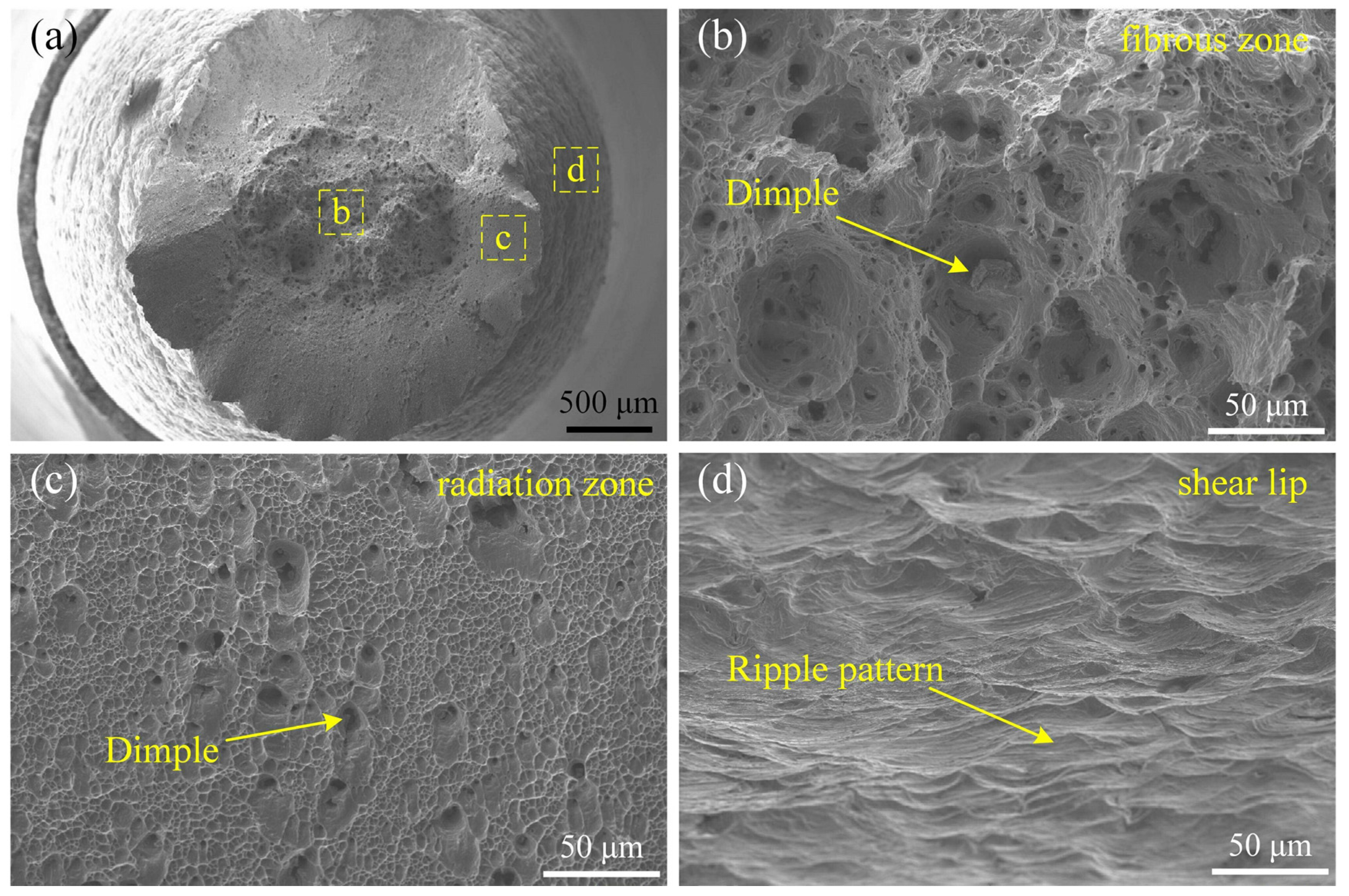 Materials 17 00695 g013