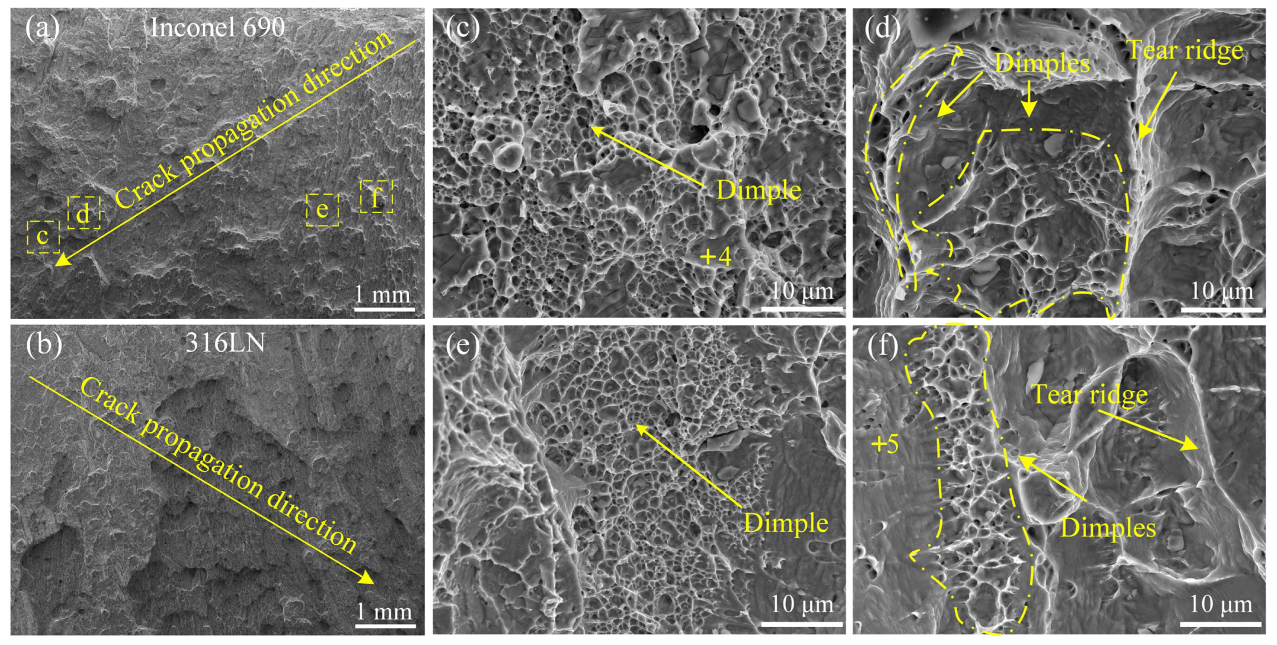 Materials 17 00695 g015