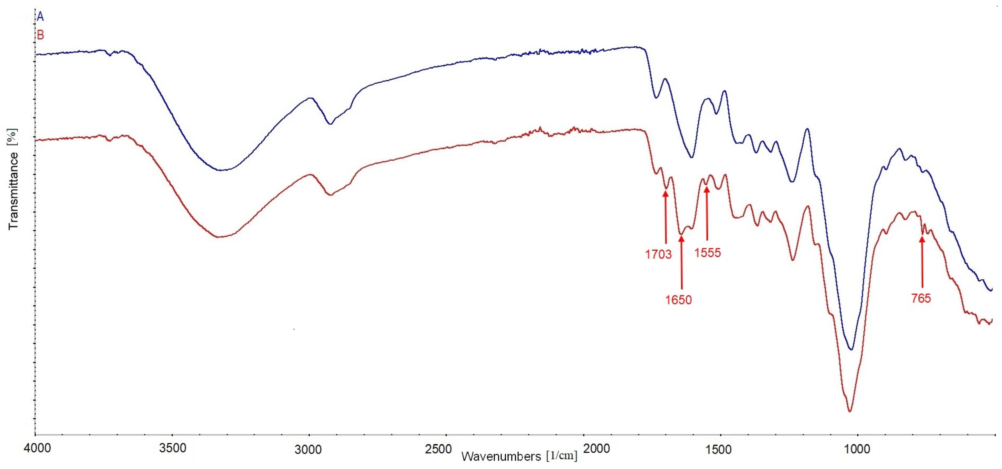 Materials 17 00698 g003