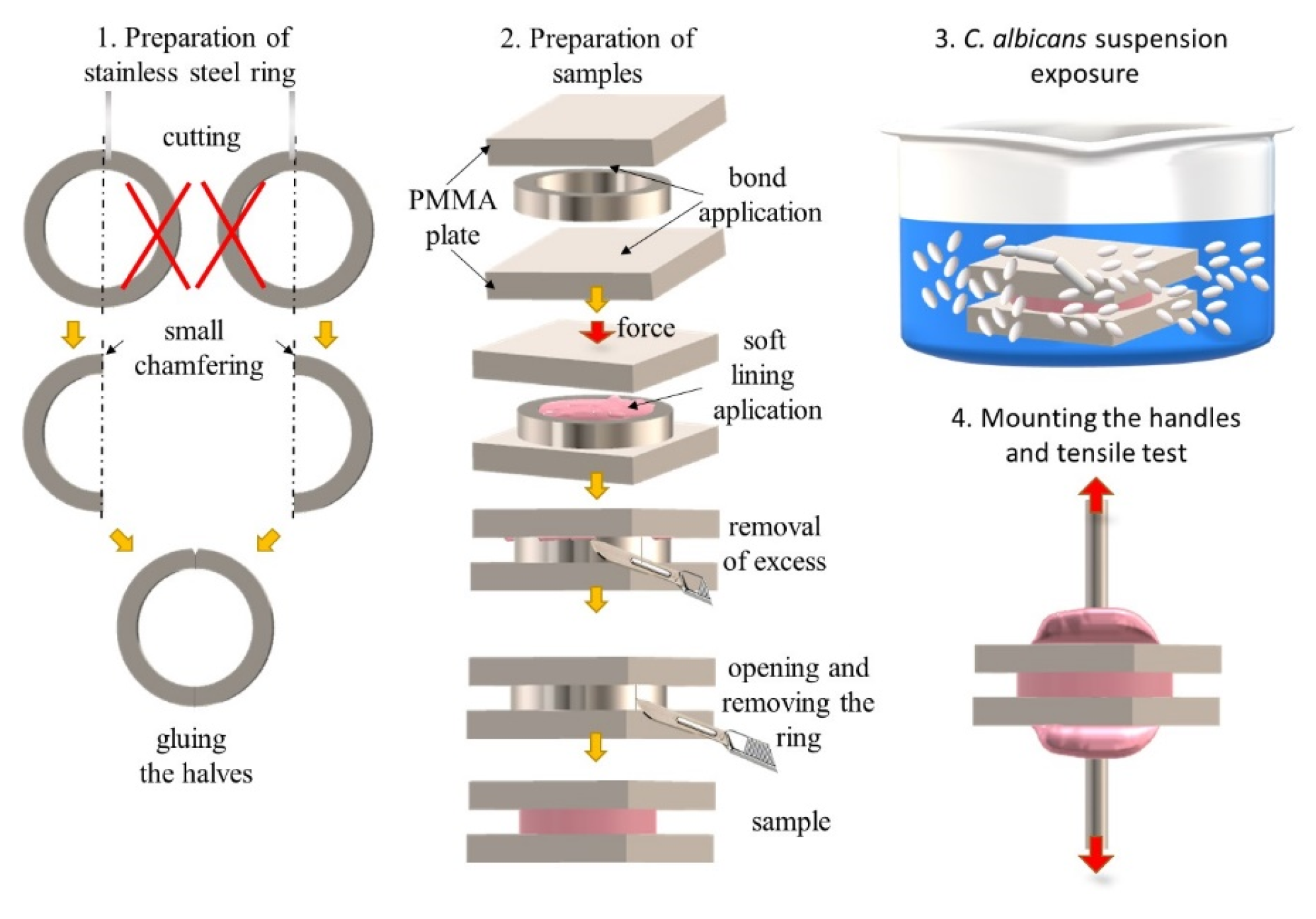 Materials 17 00723 g001 Materials 17 00723 g001