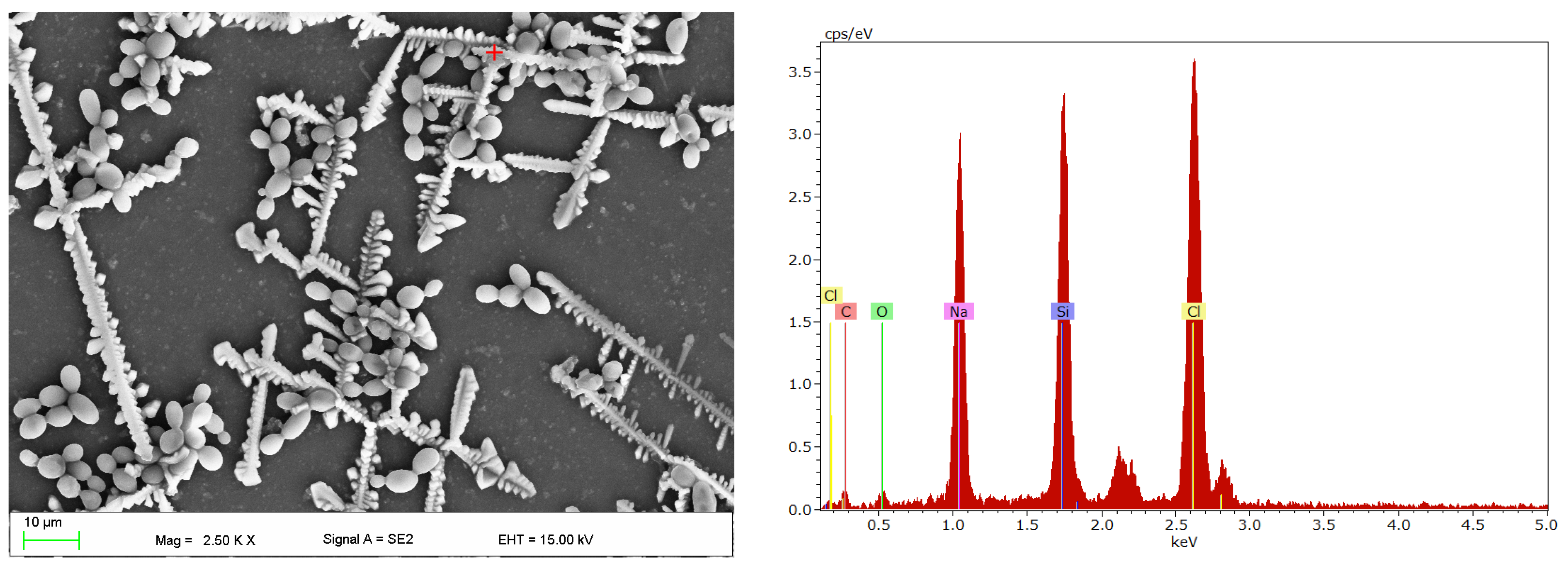 Materials 17 00723 g004 Materials 17 00723 g004