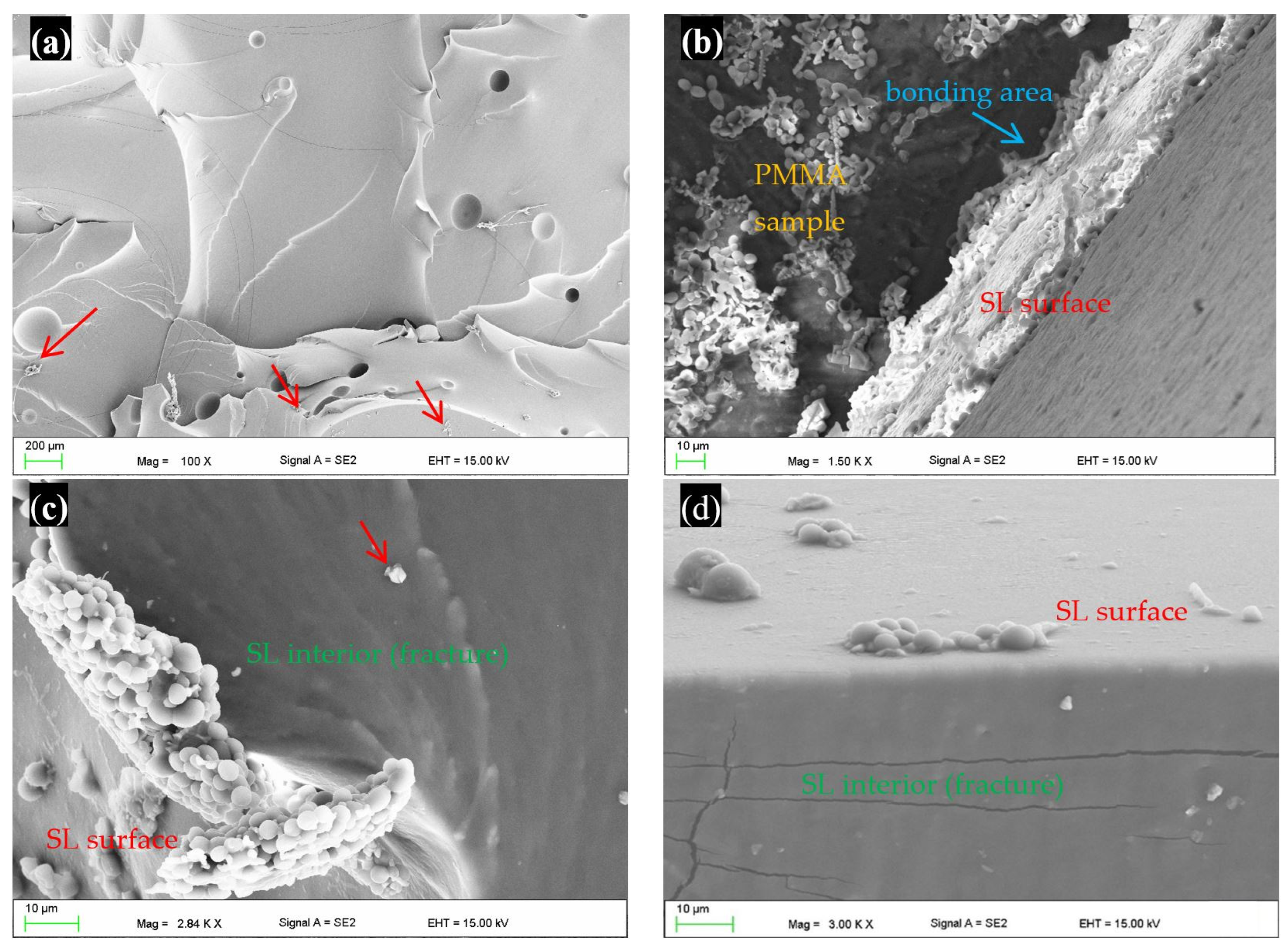 Materials 17 00723 g005a Materials 17 00723 g005a