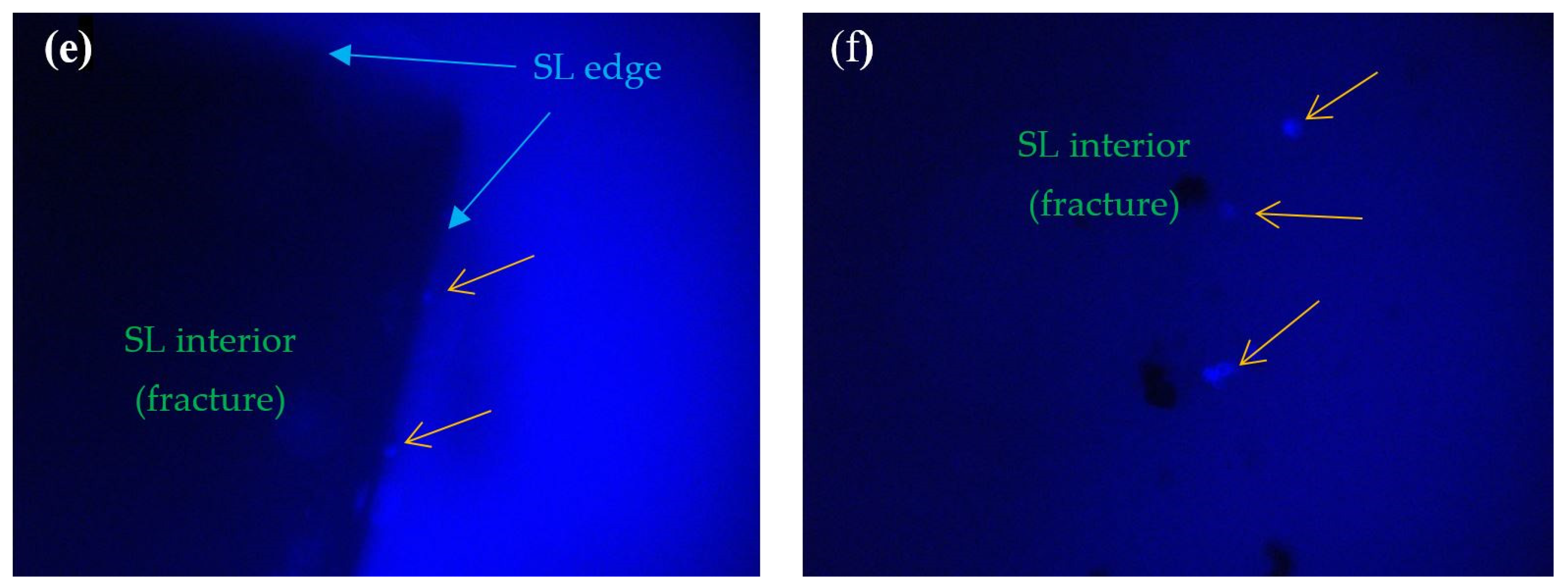 Materials 17 00723 g005b Materials 17 00723 g005b