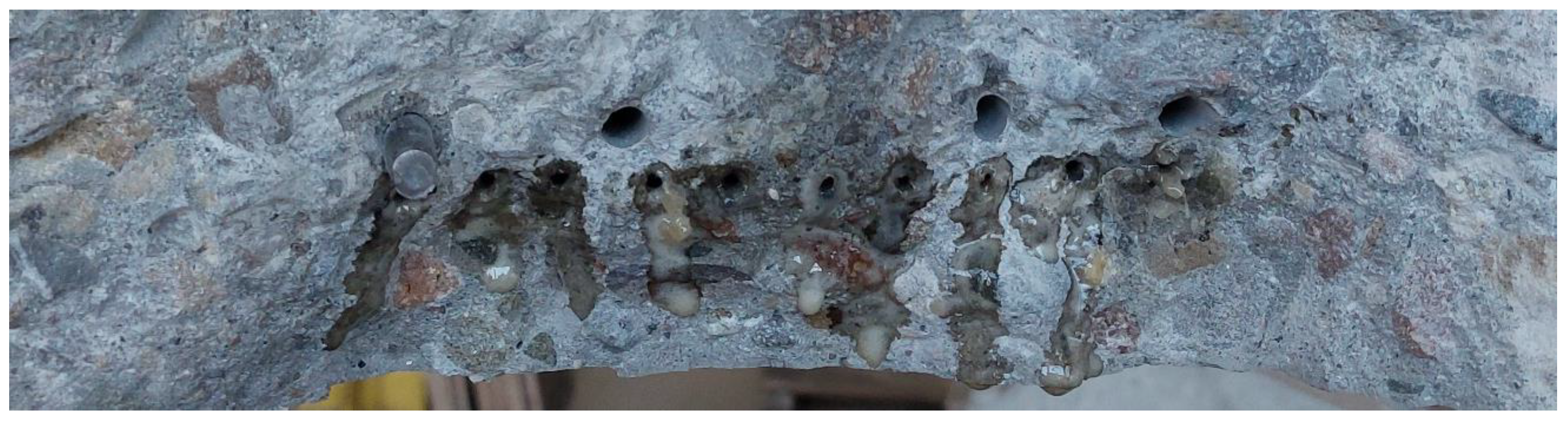 Materials 17 00760 g022