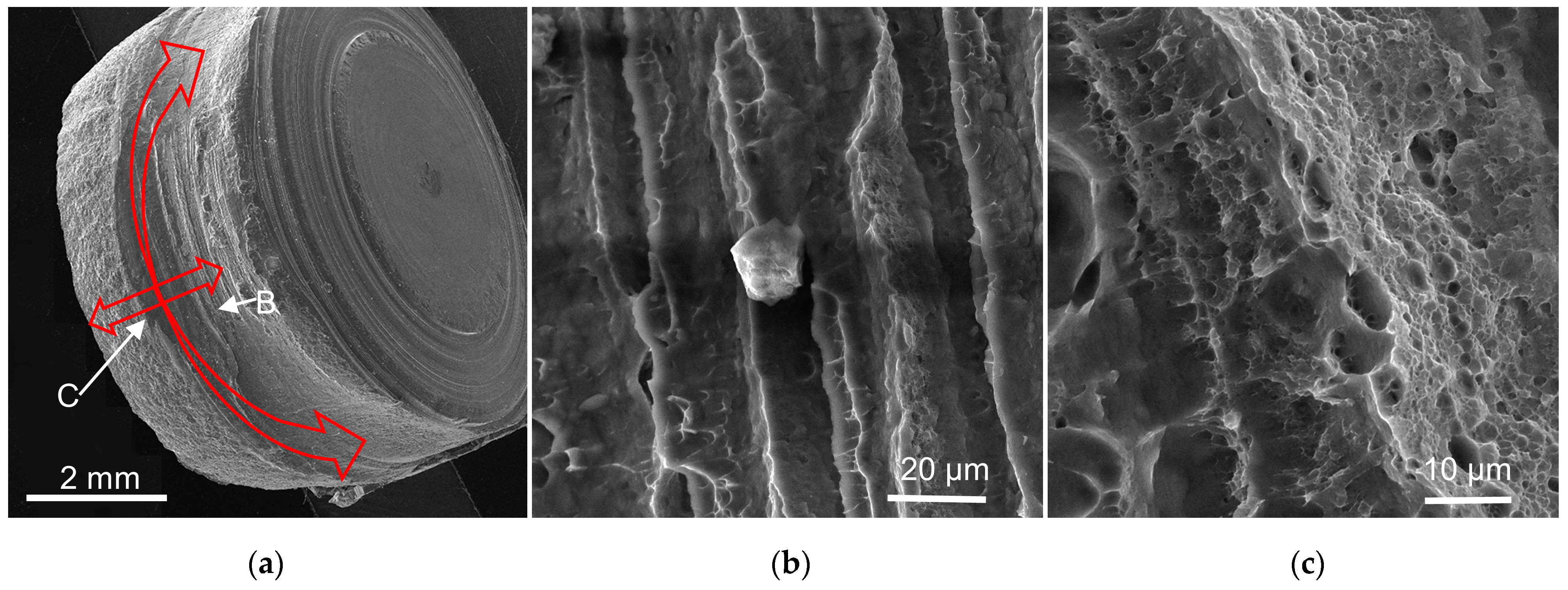 Materials 17 00762 g012