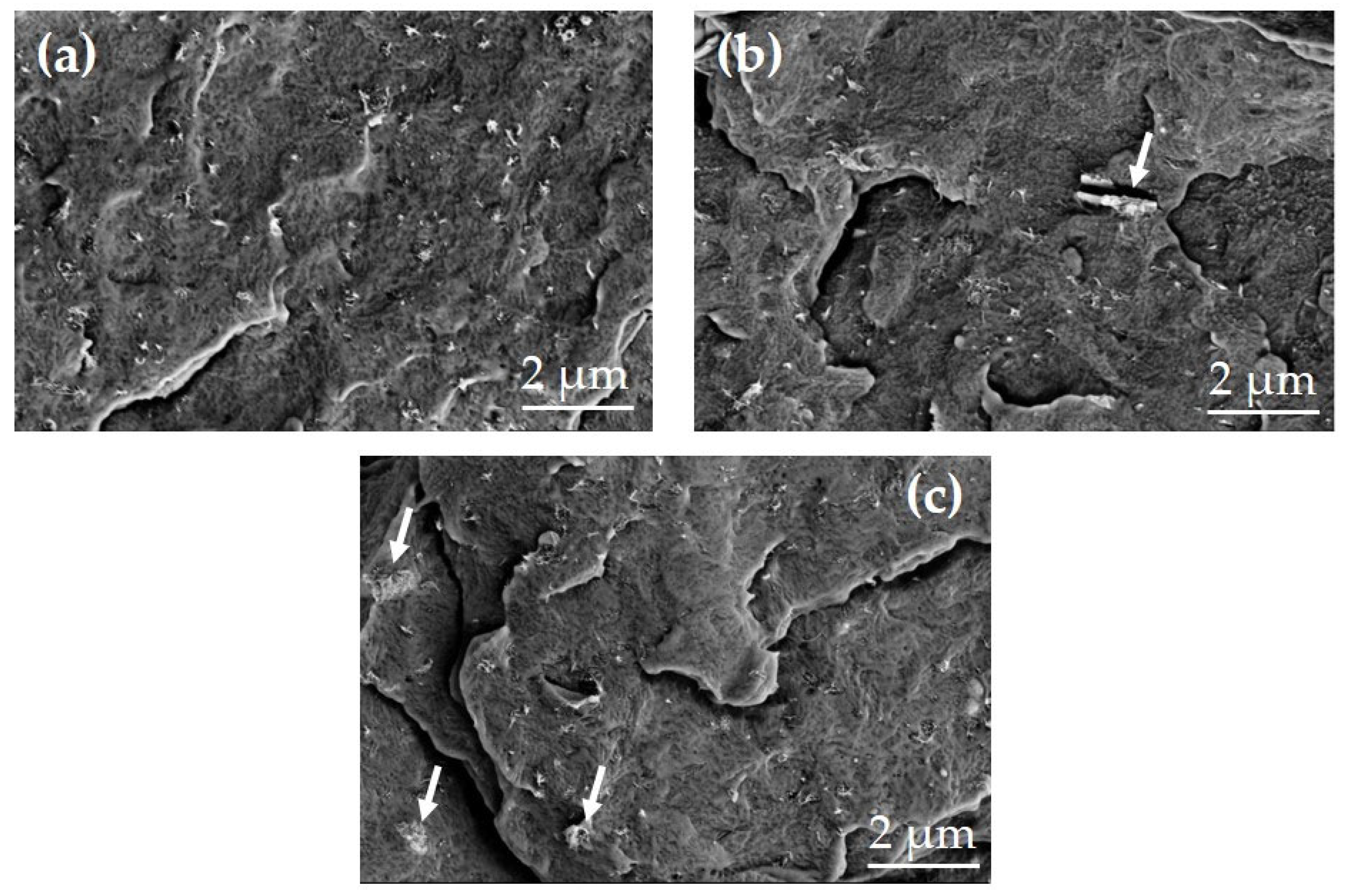 Materials 17 00774 g008