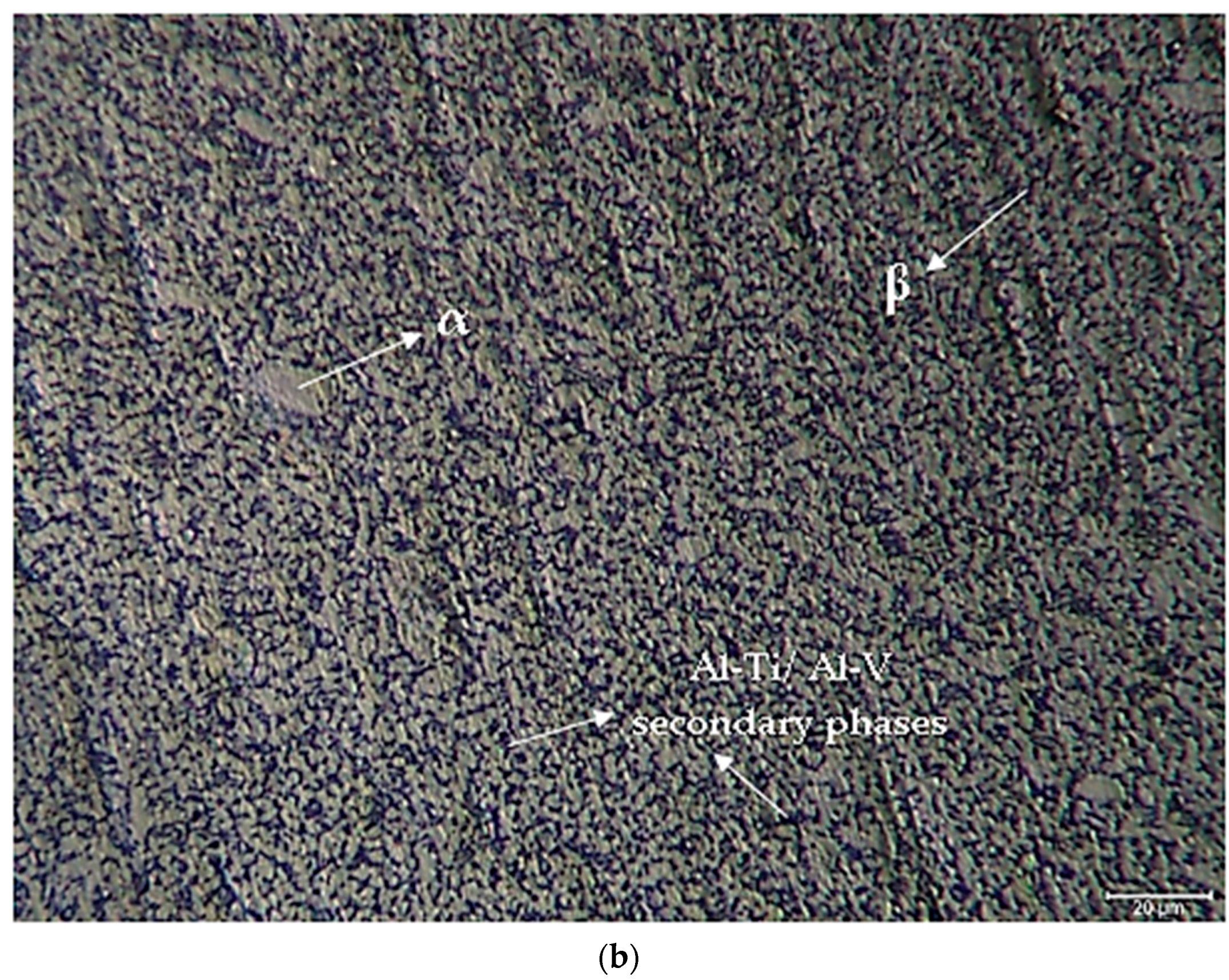 Materials 17 00776 g003b