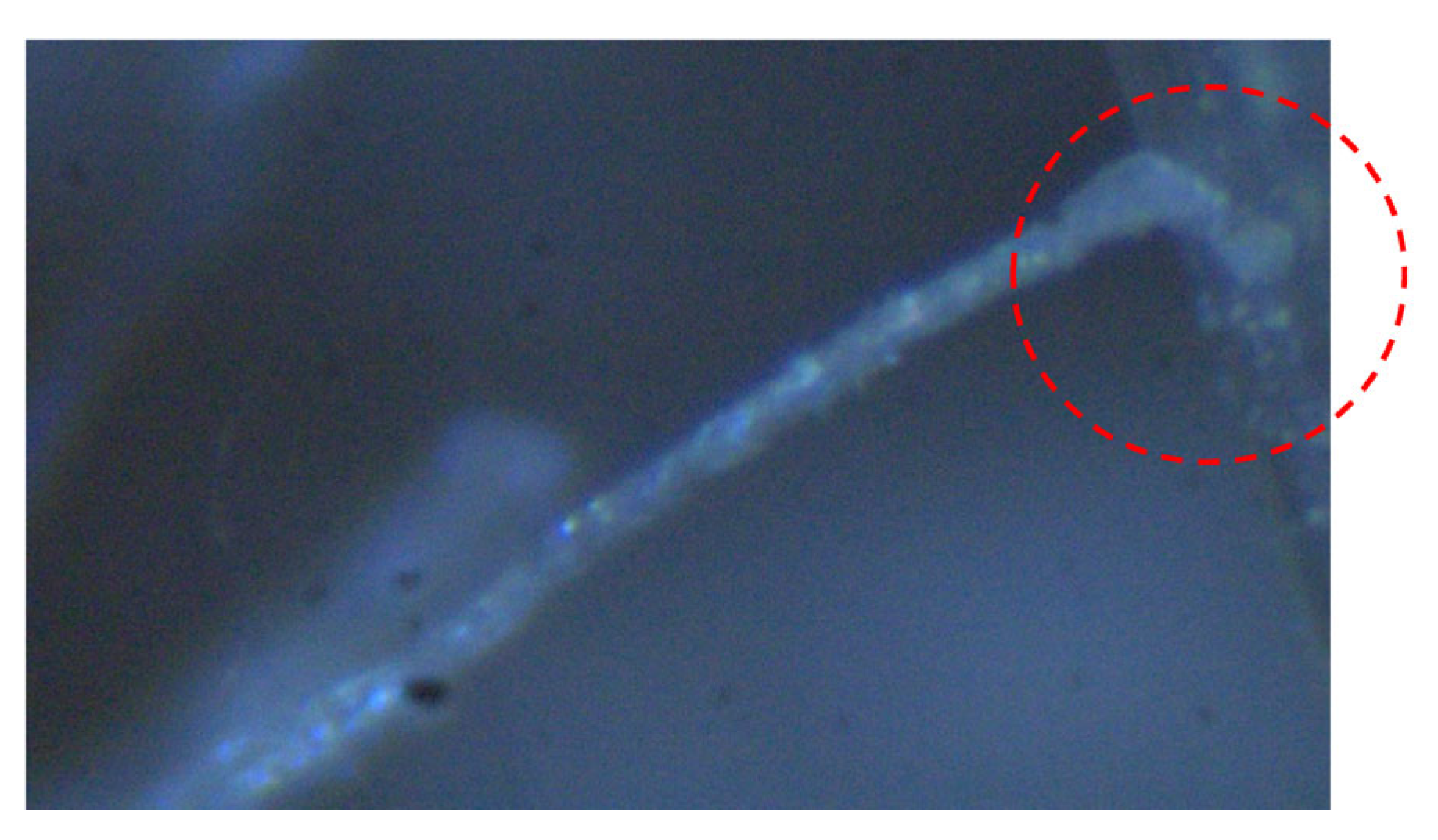 Materials 17 00831 g005