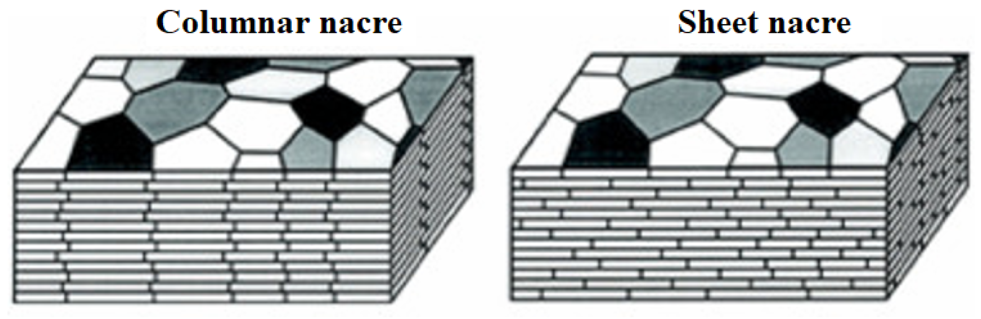 Materials 17 00843 g002