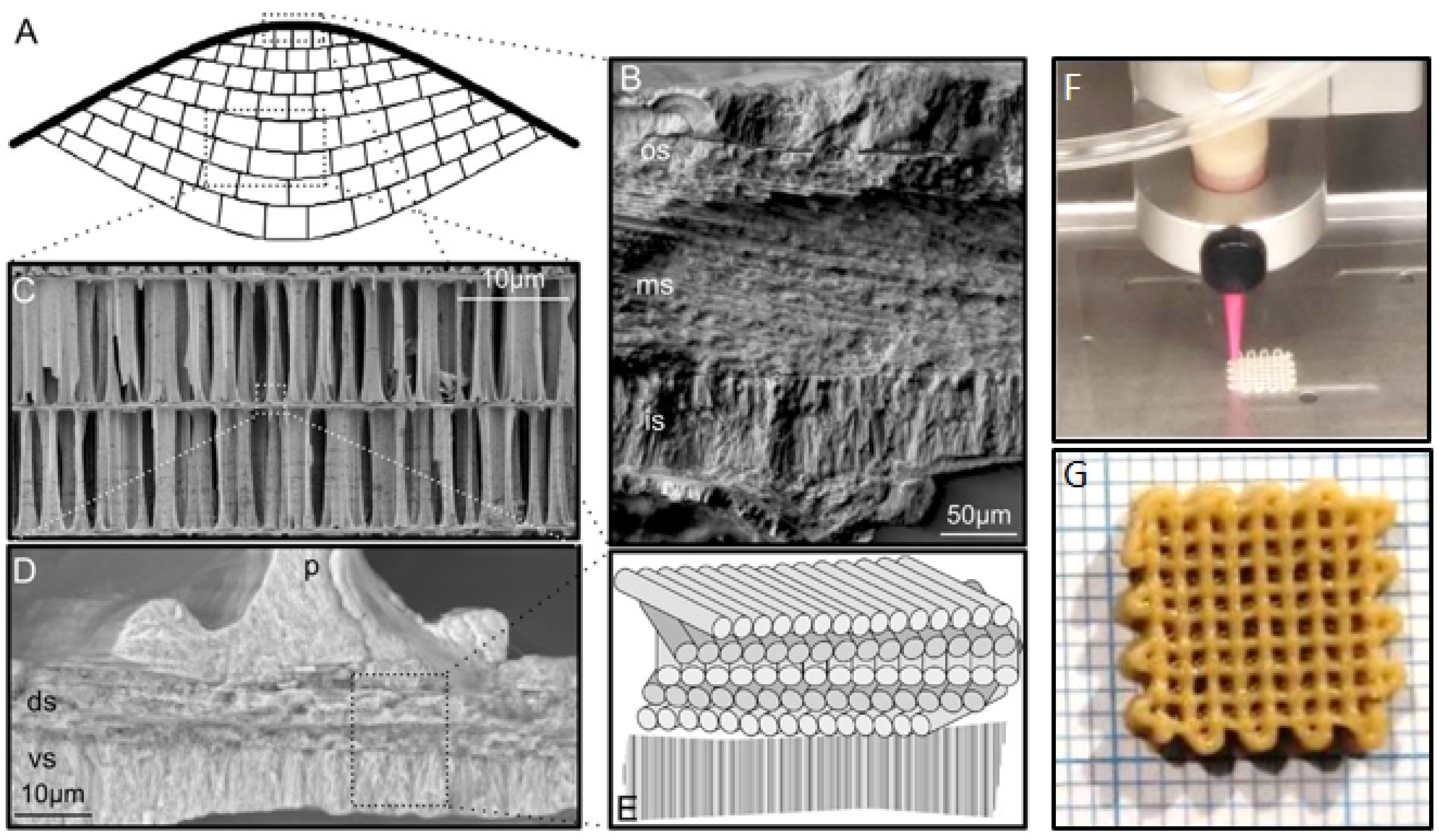 Materials 17 00843 g010