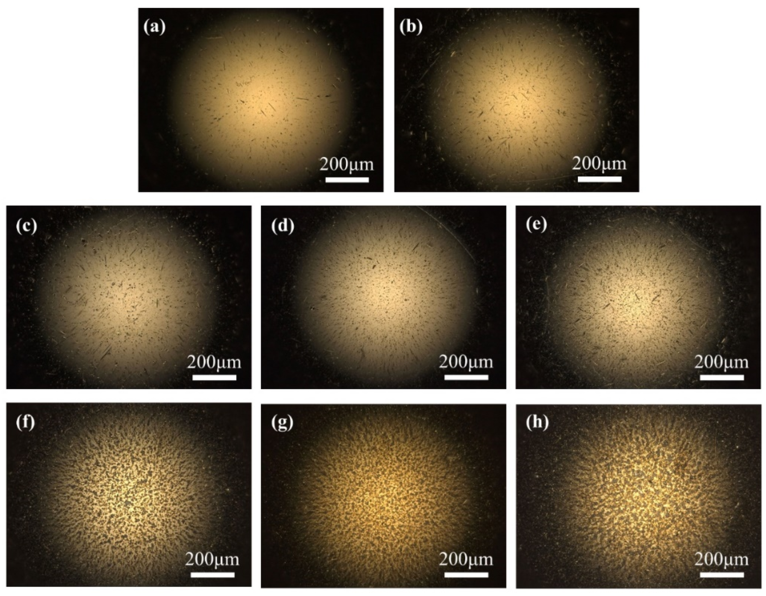 Materials 17 00859 g008