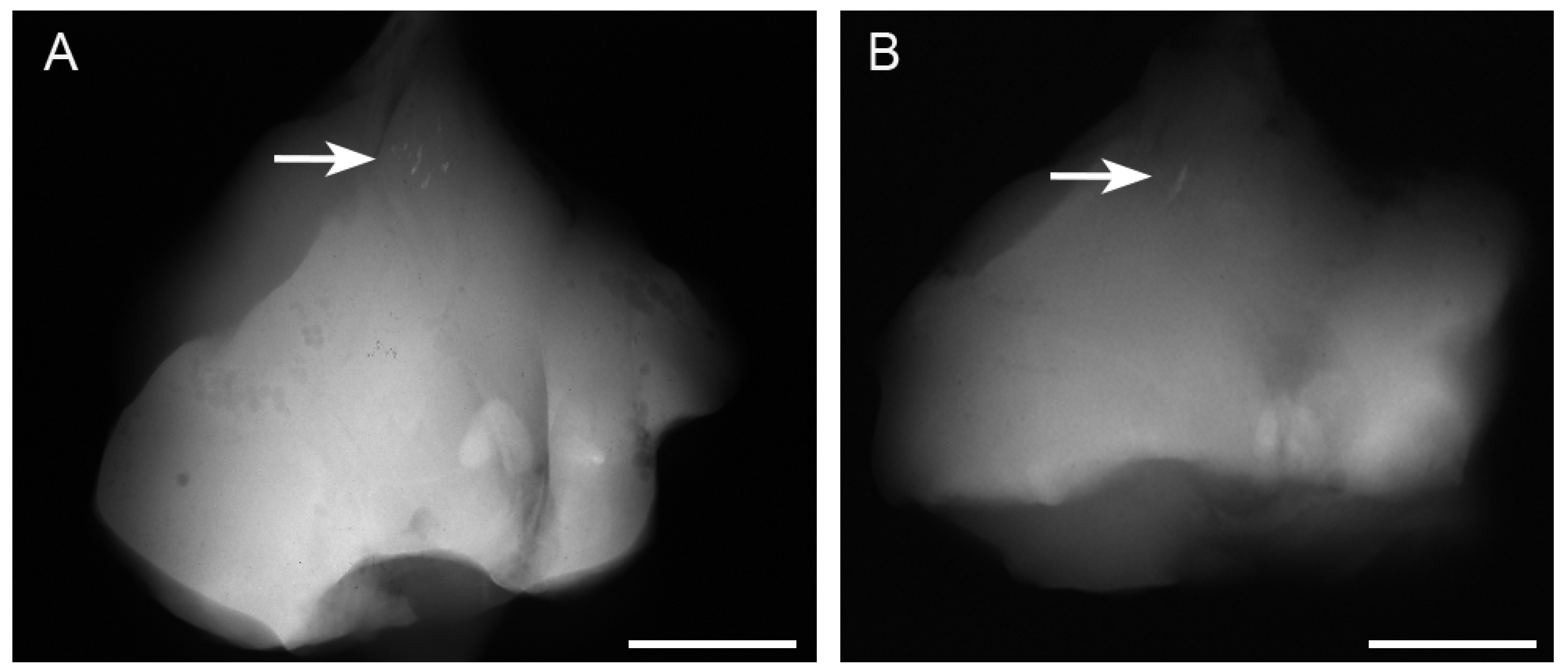 Materials 17 00880 g002