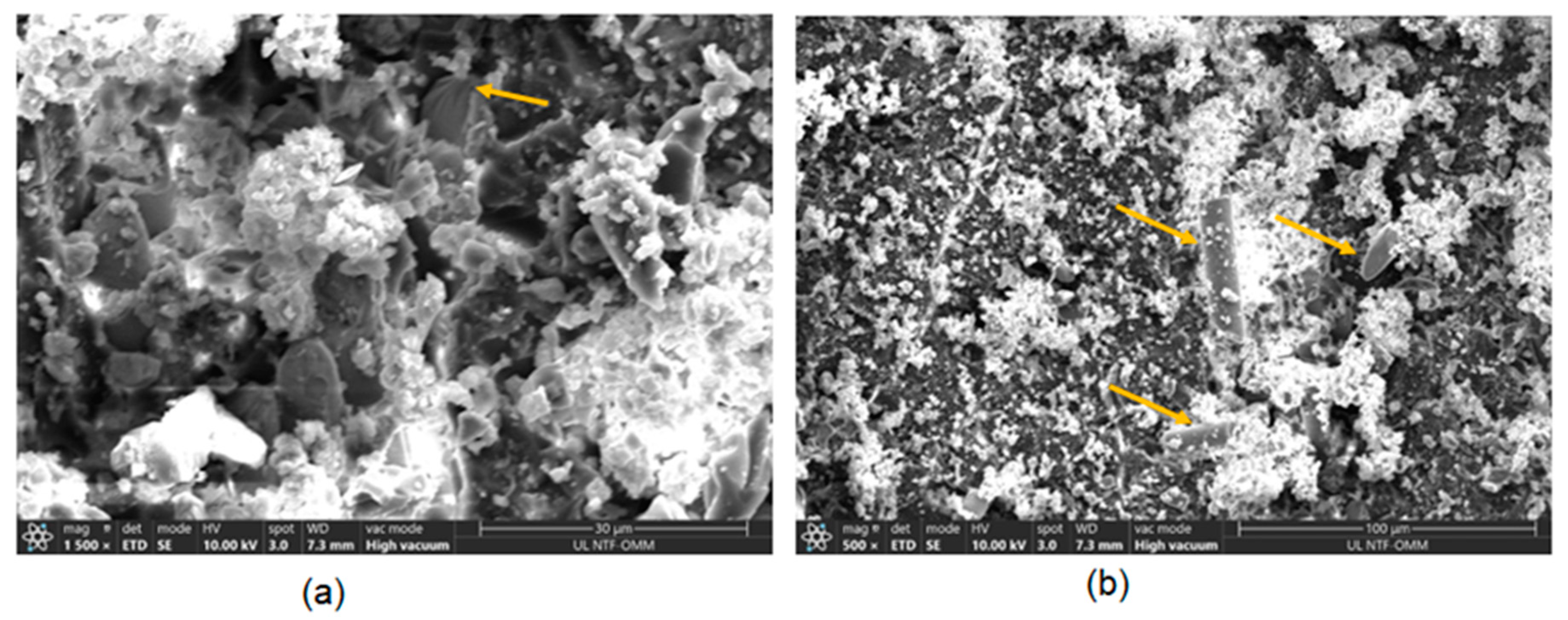 Materials 17 00887 g010