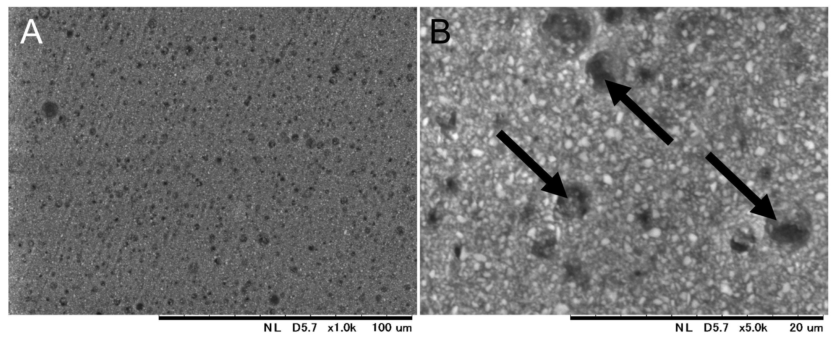 Materials 17 00896 g003