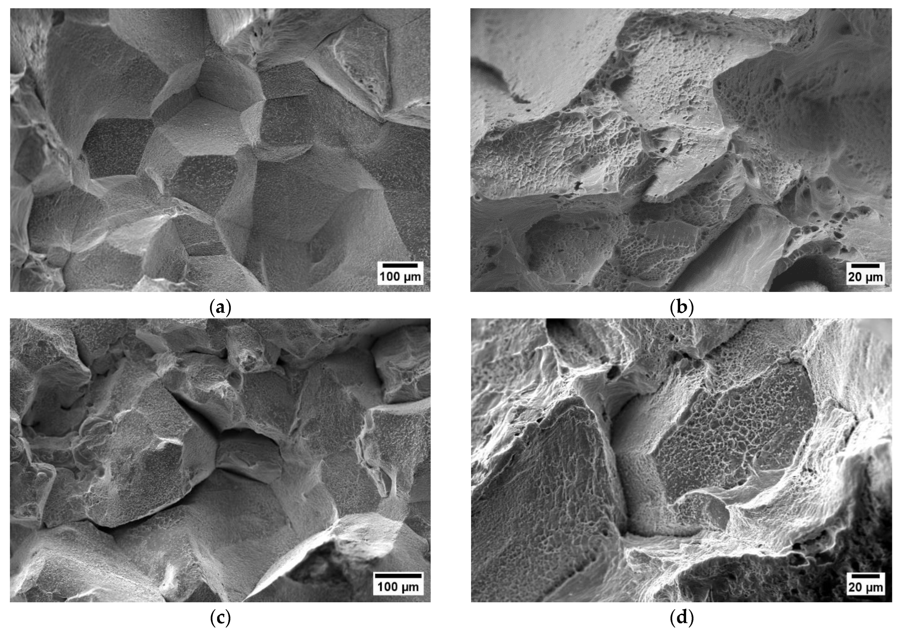 Materials 17 00900 g005