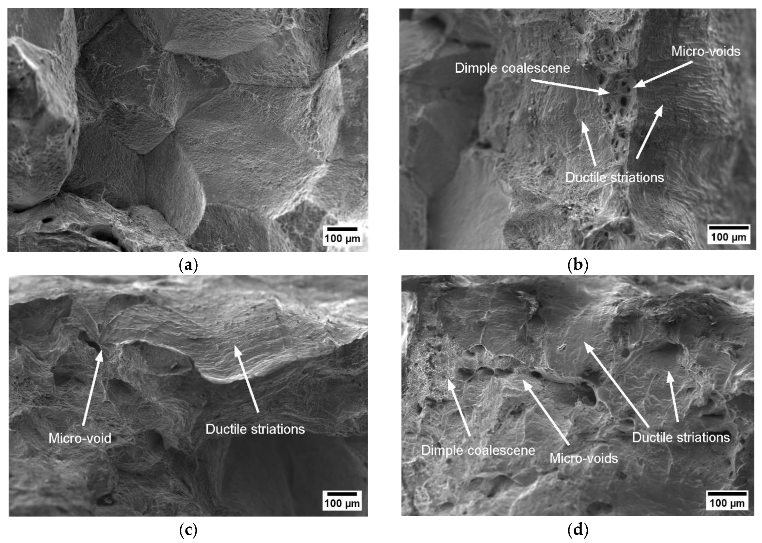 Materials 17 00900 g015