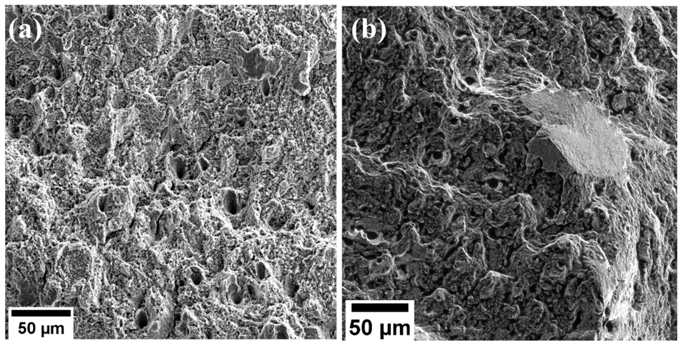 Materials 17 00913 g012