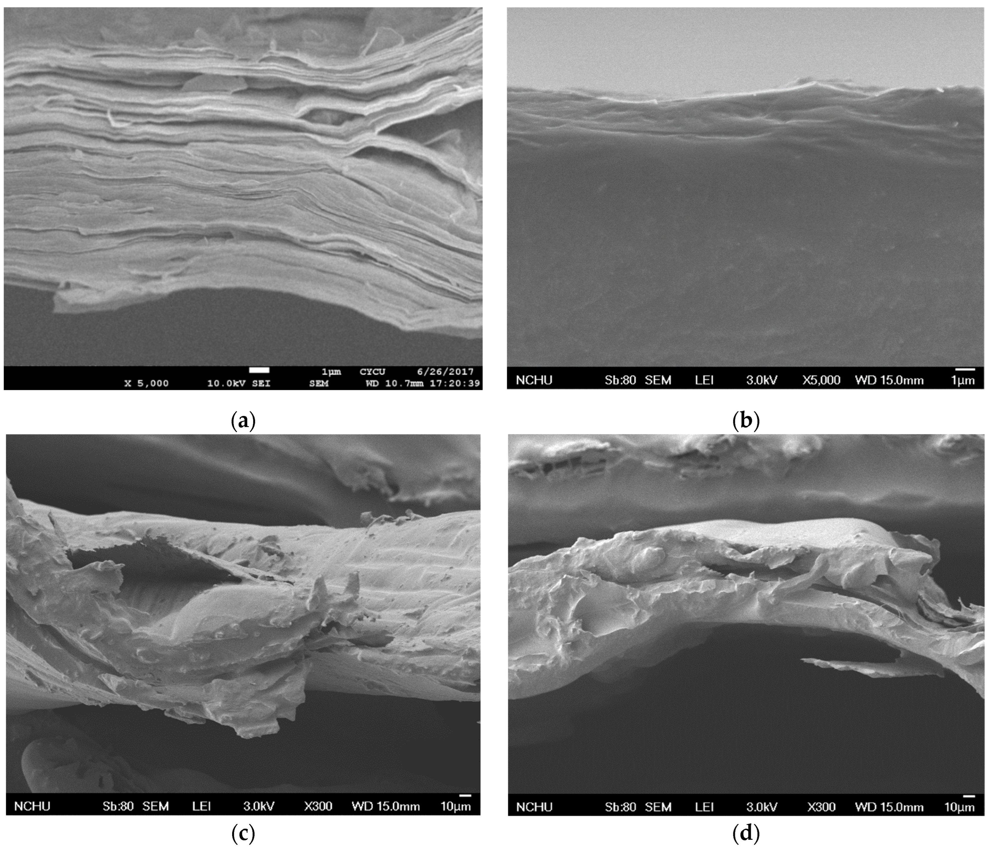 Materials 17 00933 g004