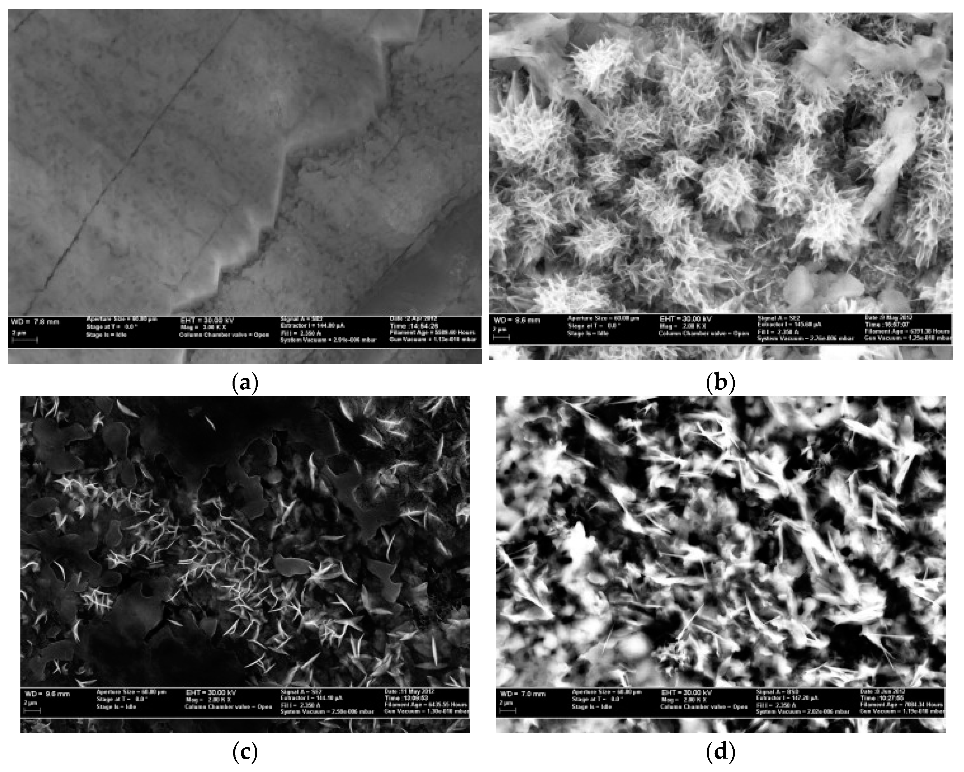 Materials 17 00955 g011