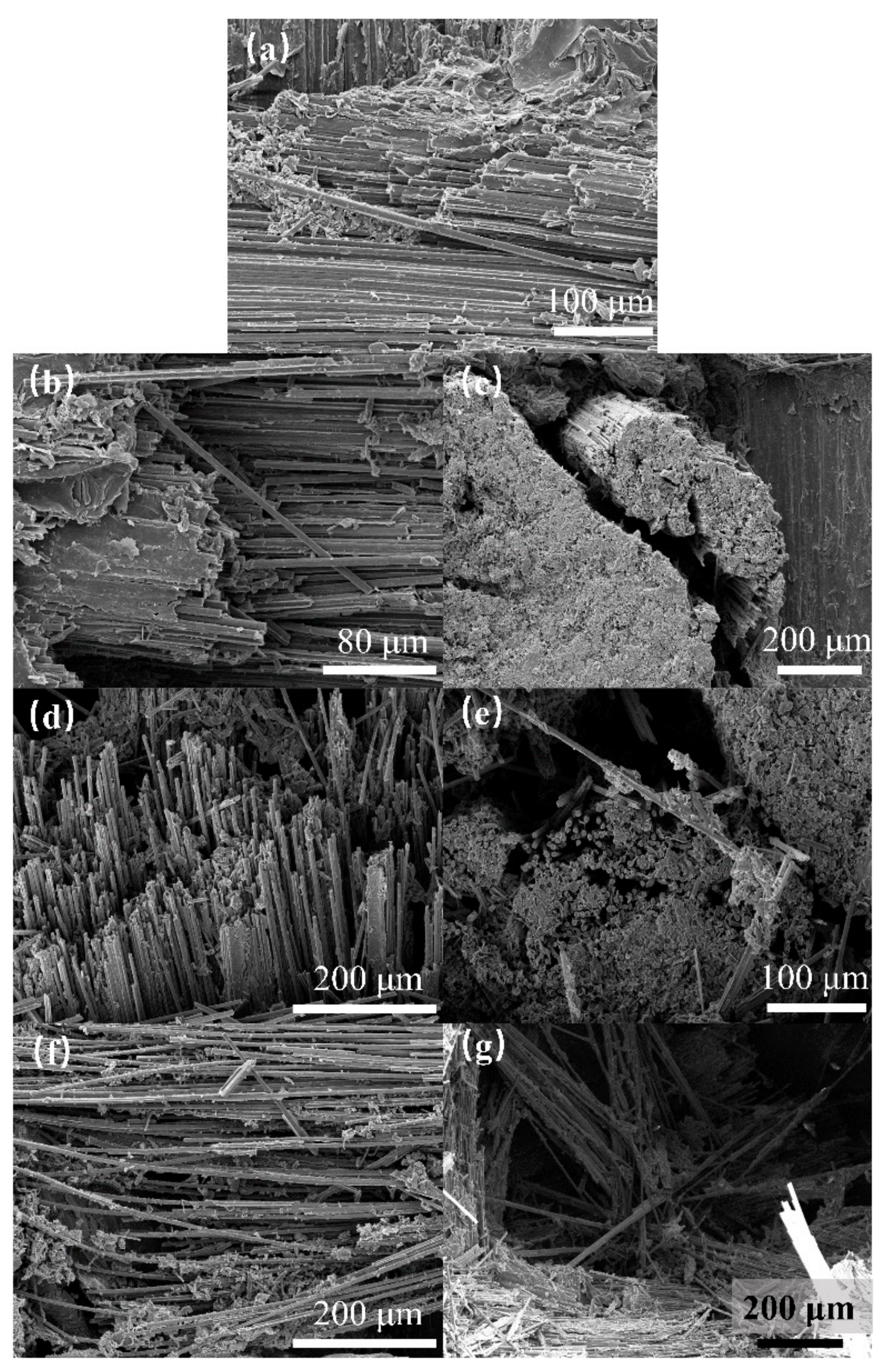 Materials 17 00963 g008