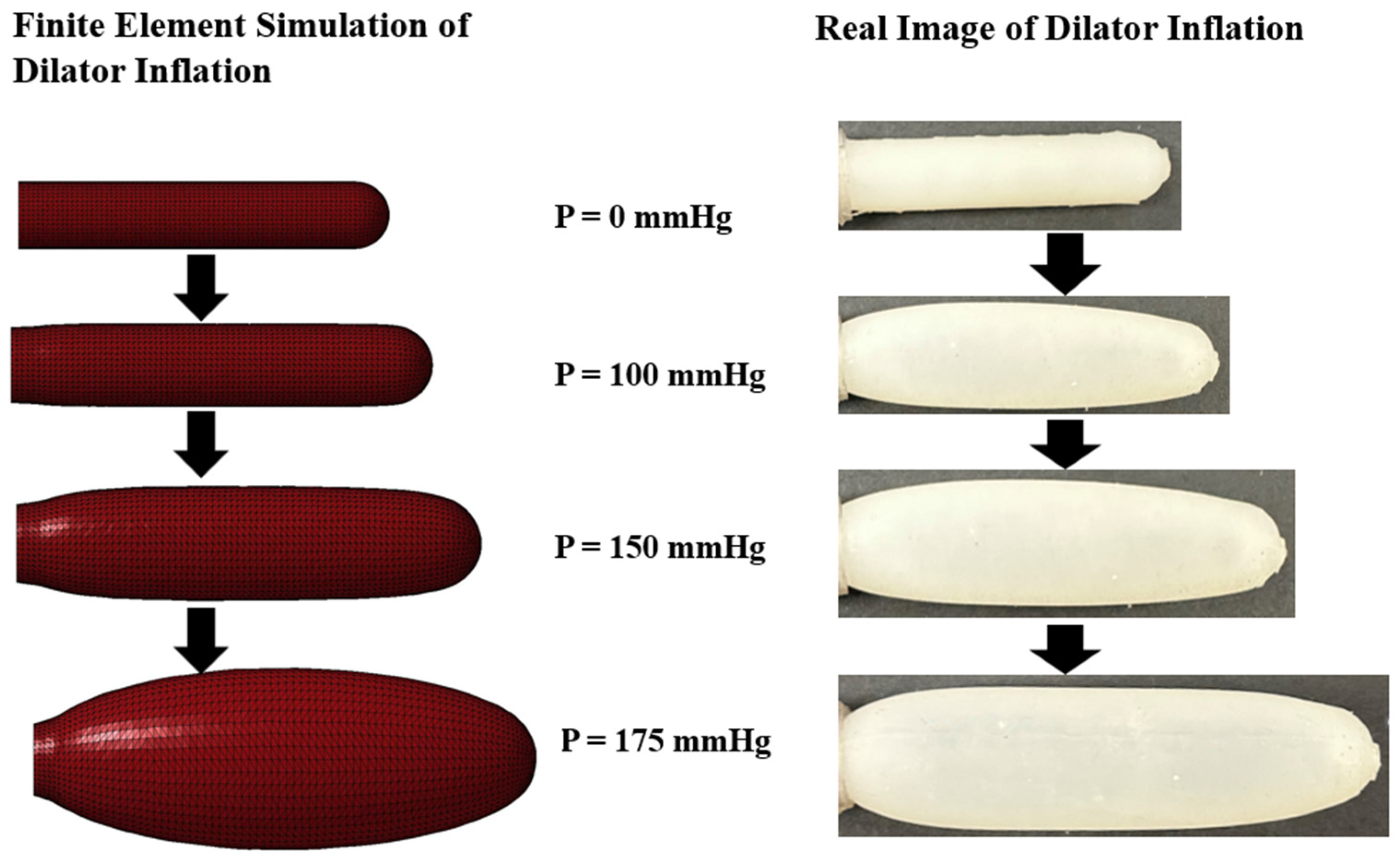 Materials 17 01050 g011