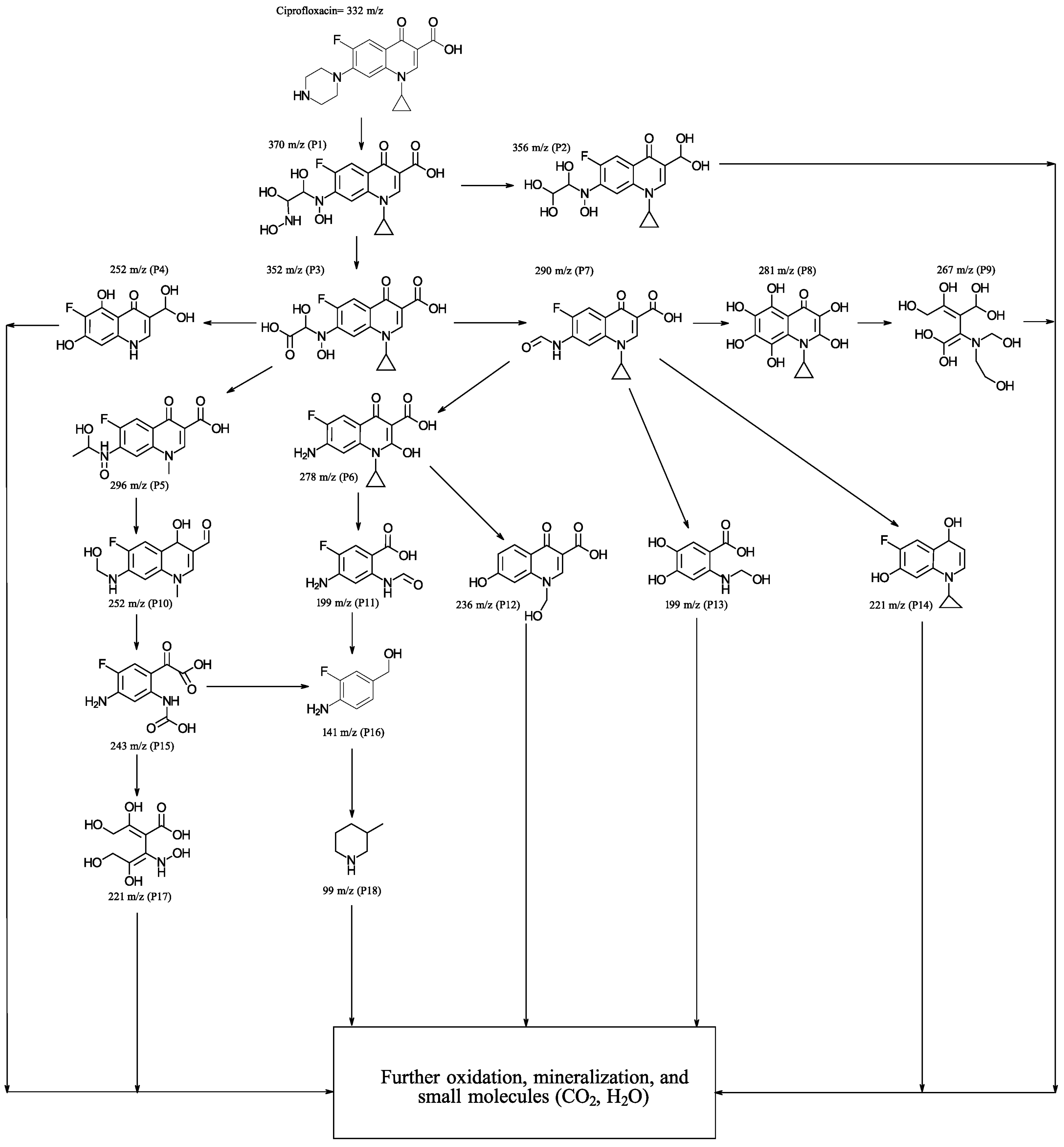 Materials 17 01059 g007