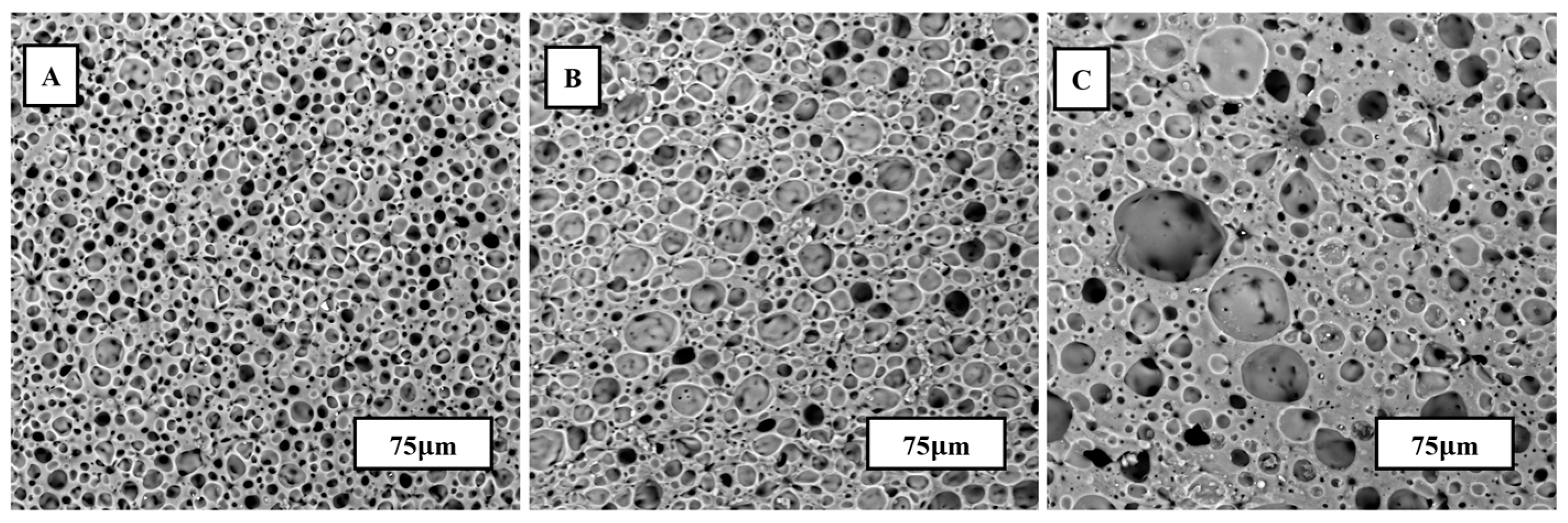 Materials 17 01074 g005