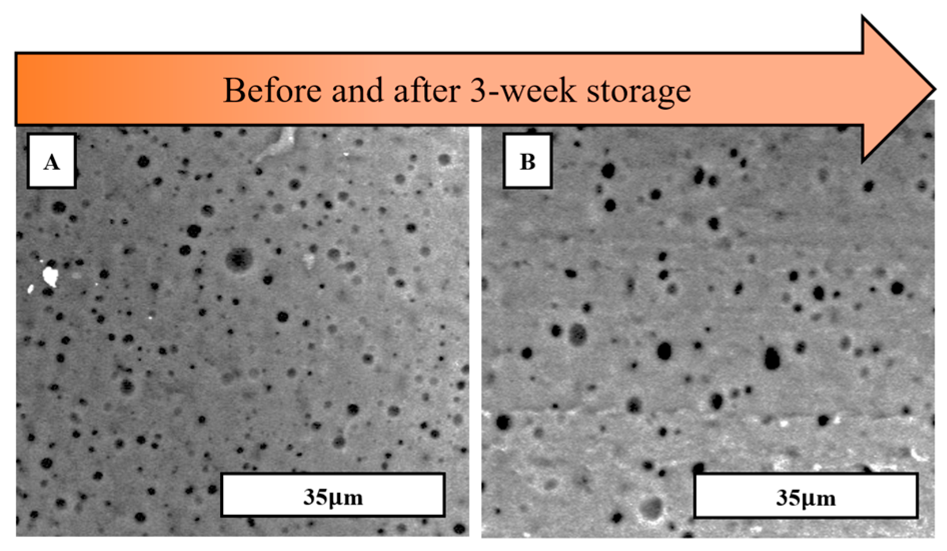 Materials 17 01074 g007