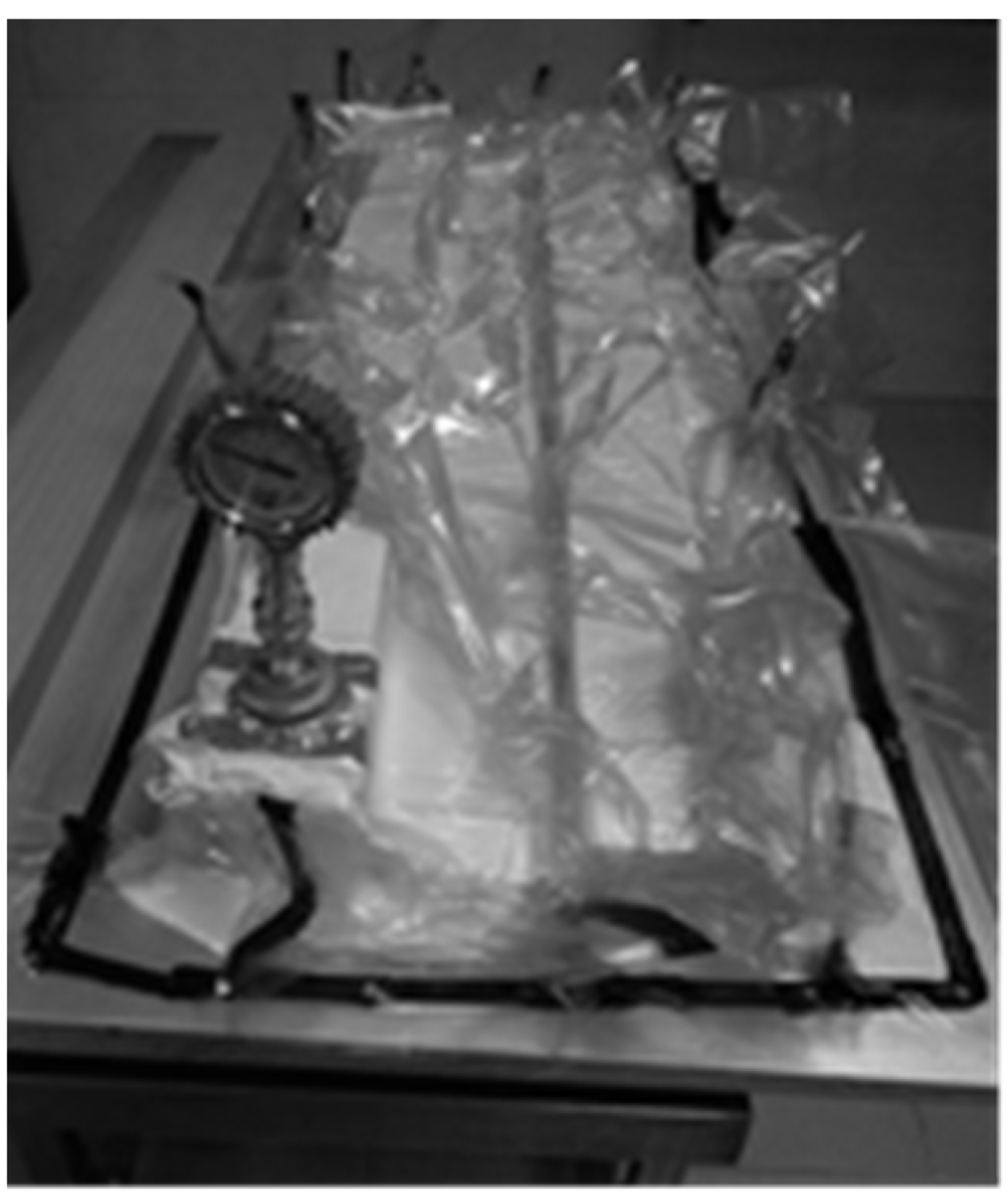 Materials 17 01081 g001