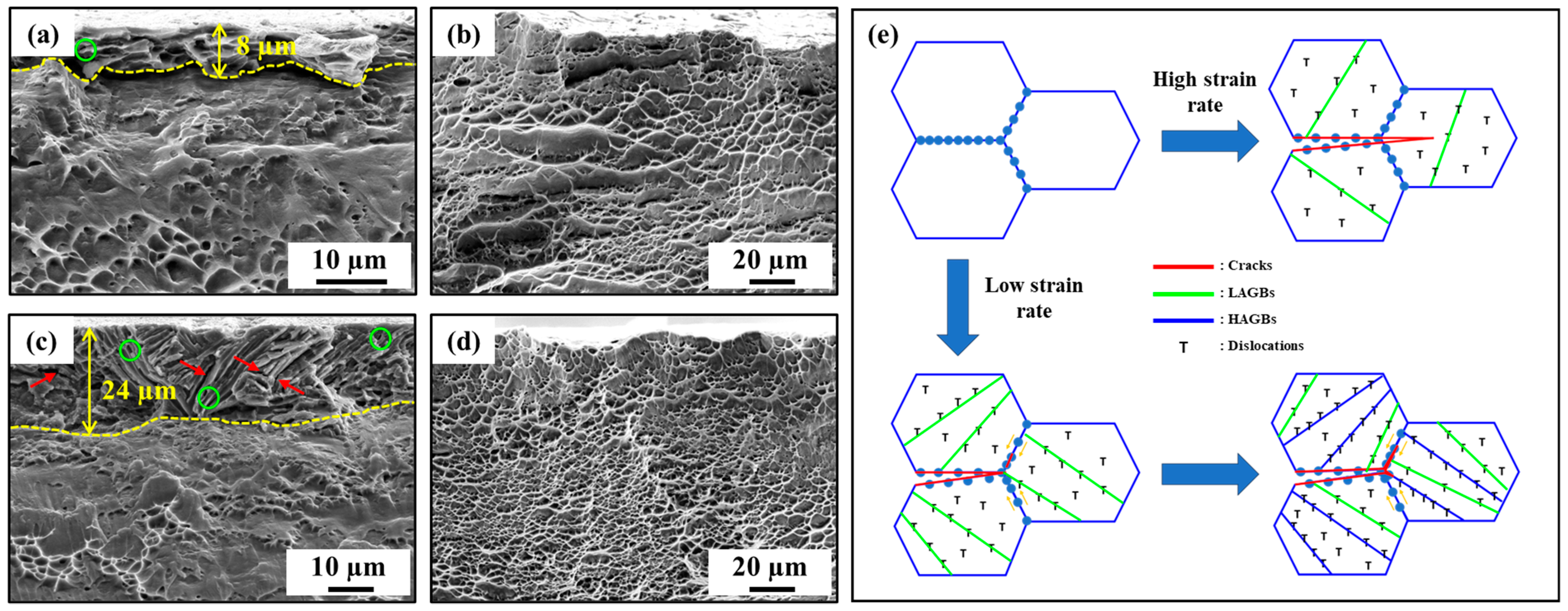 Materials 17 01100 g005