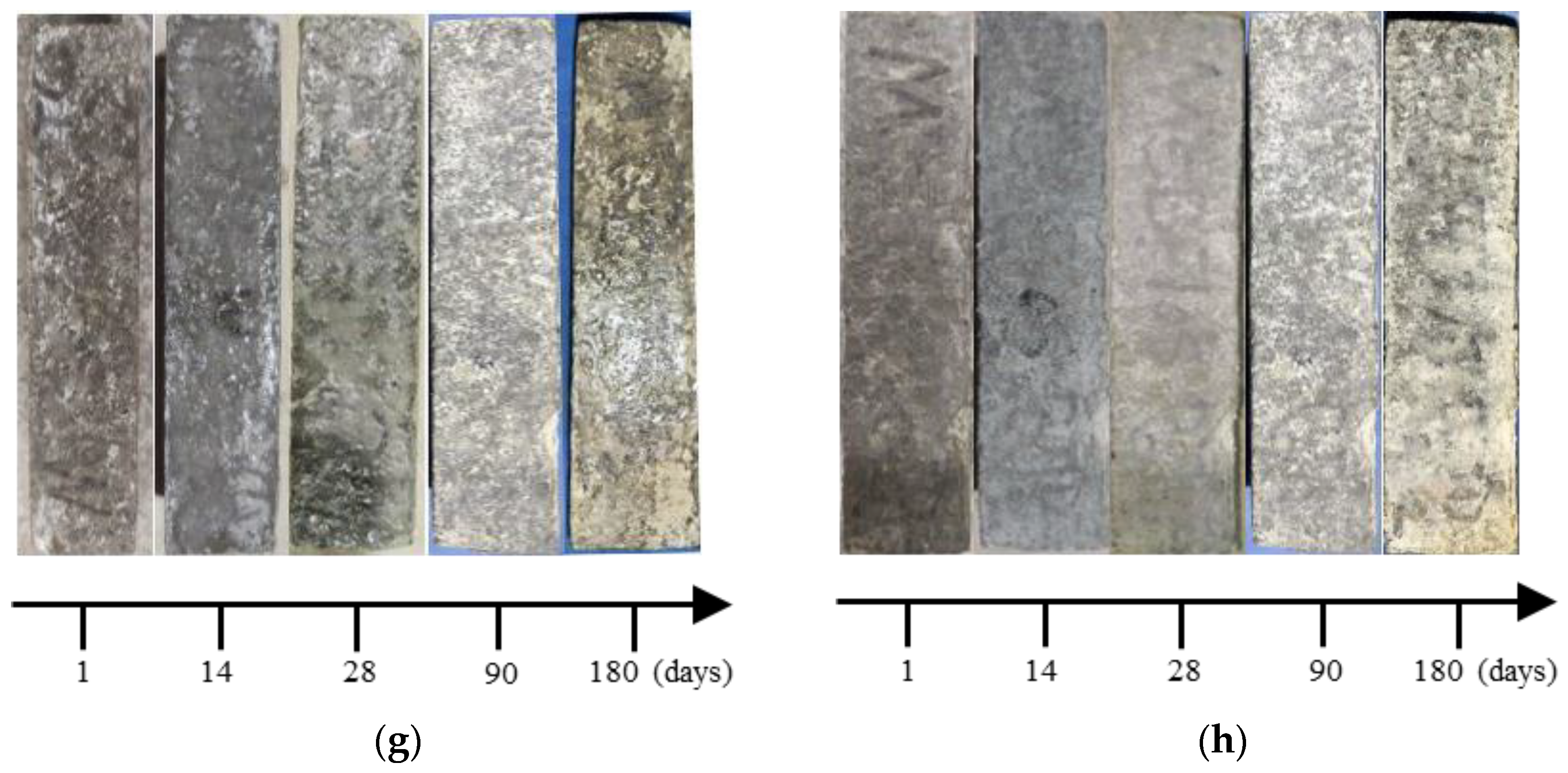 Materials 17 01128 g002b