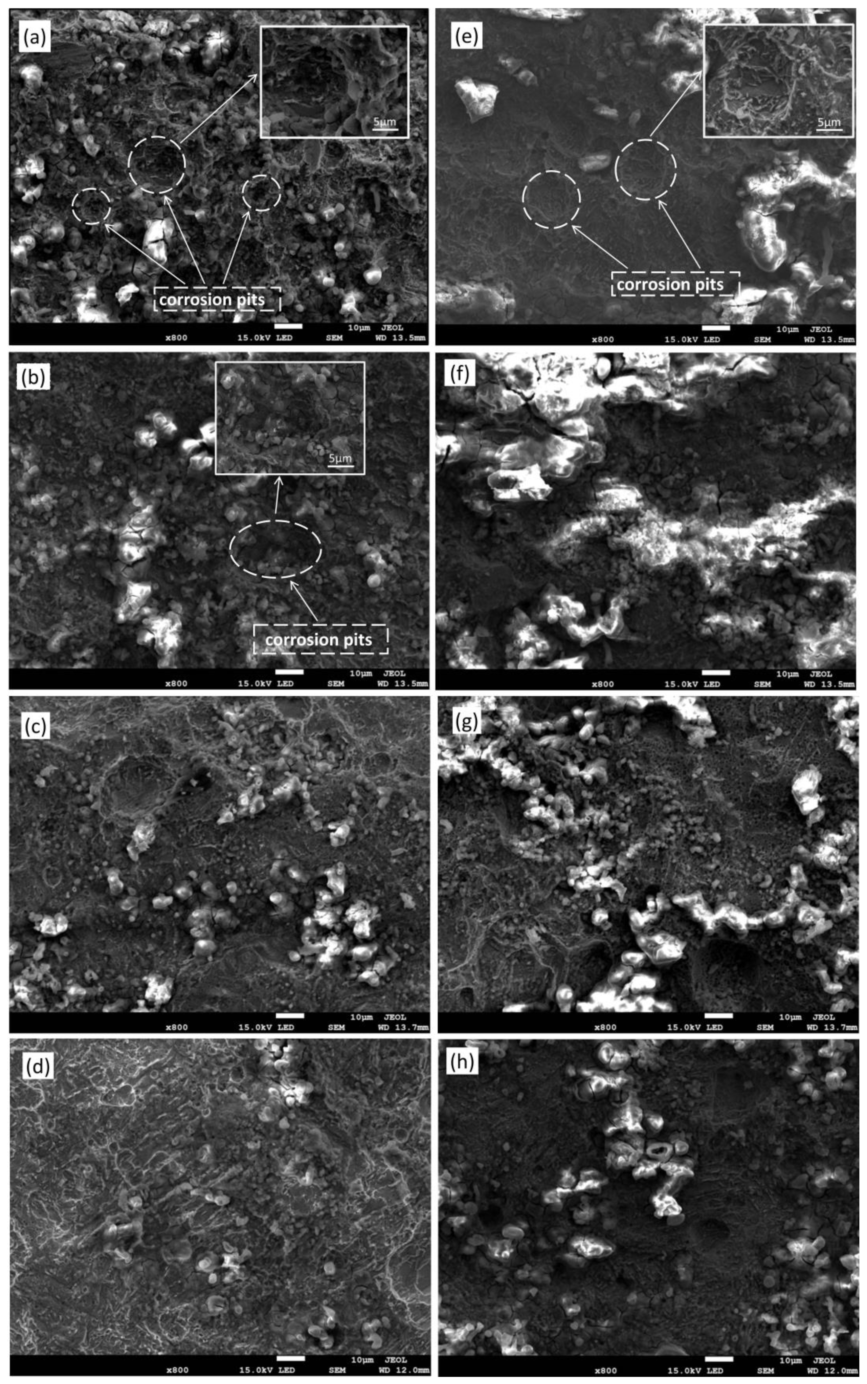 Materials 17 01198 g005