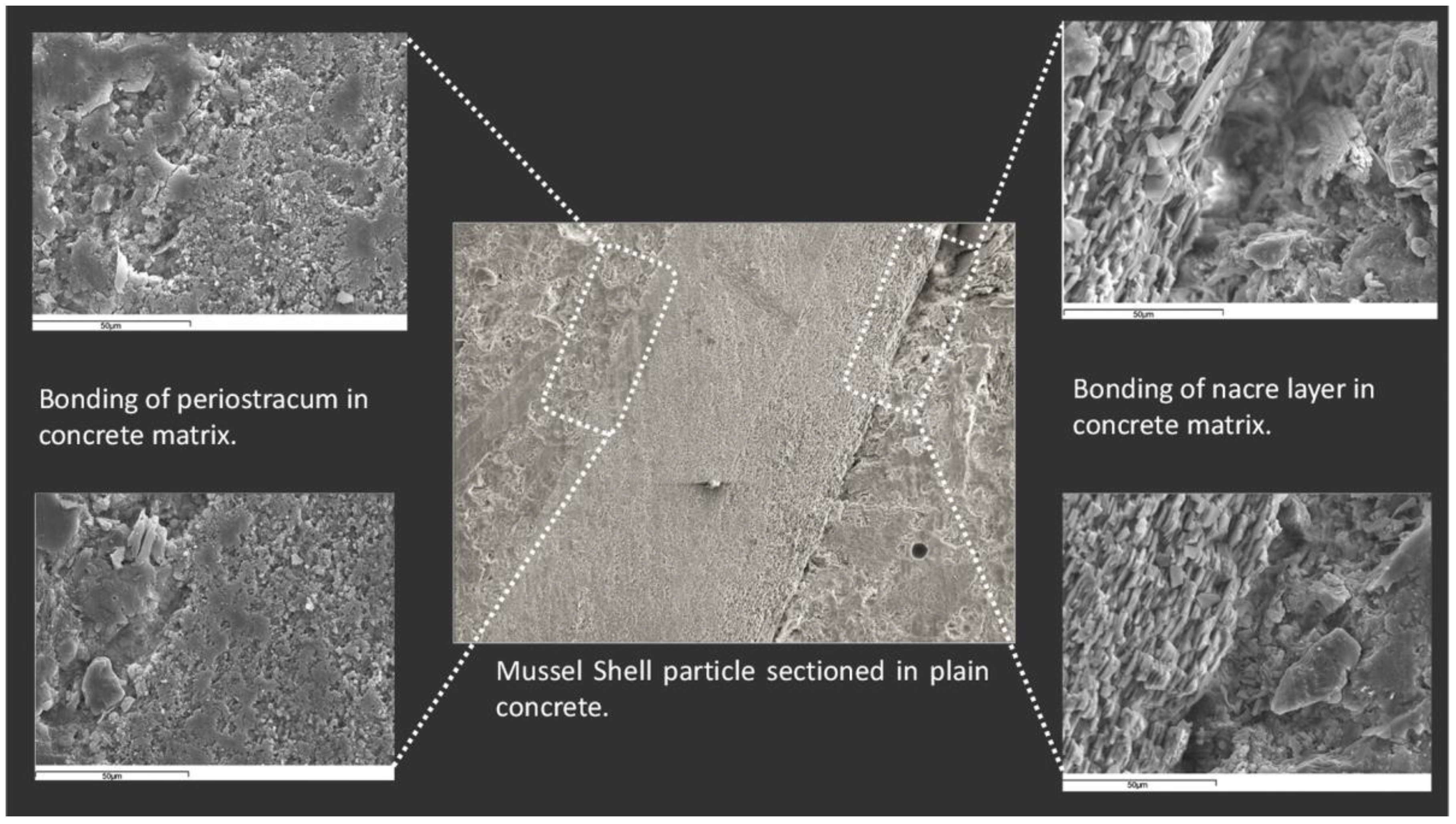 Materials 17 01222 g005