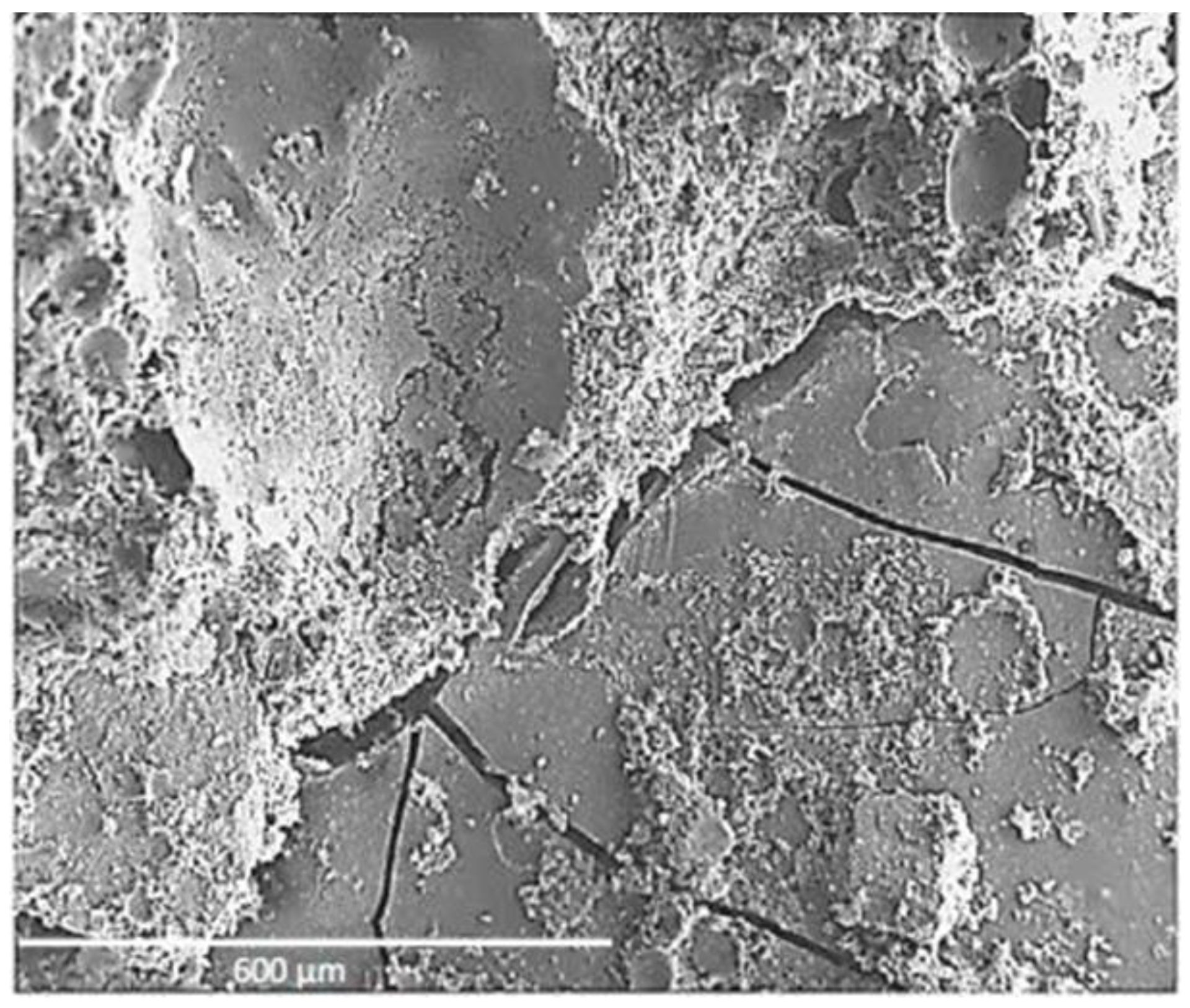 Materials 17 01222 g006