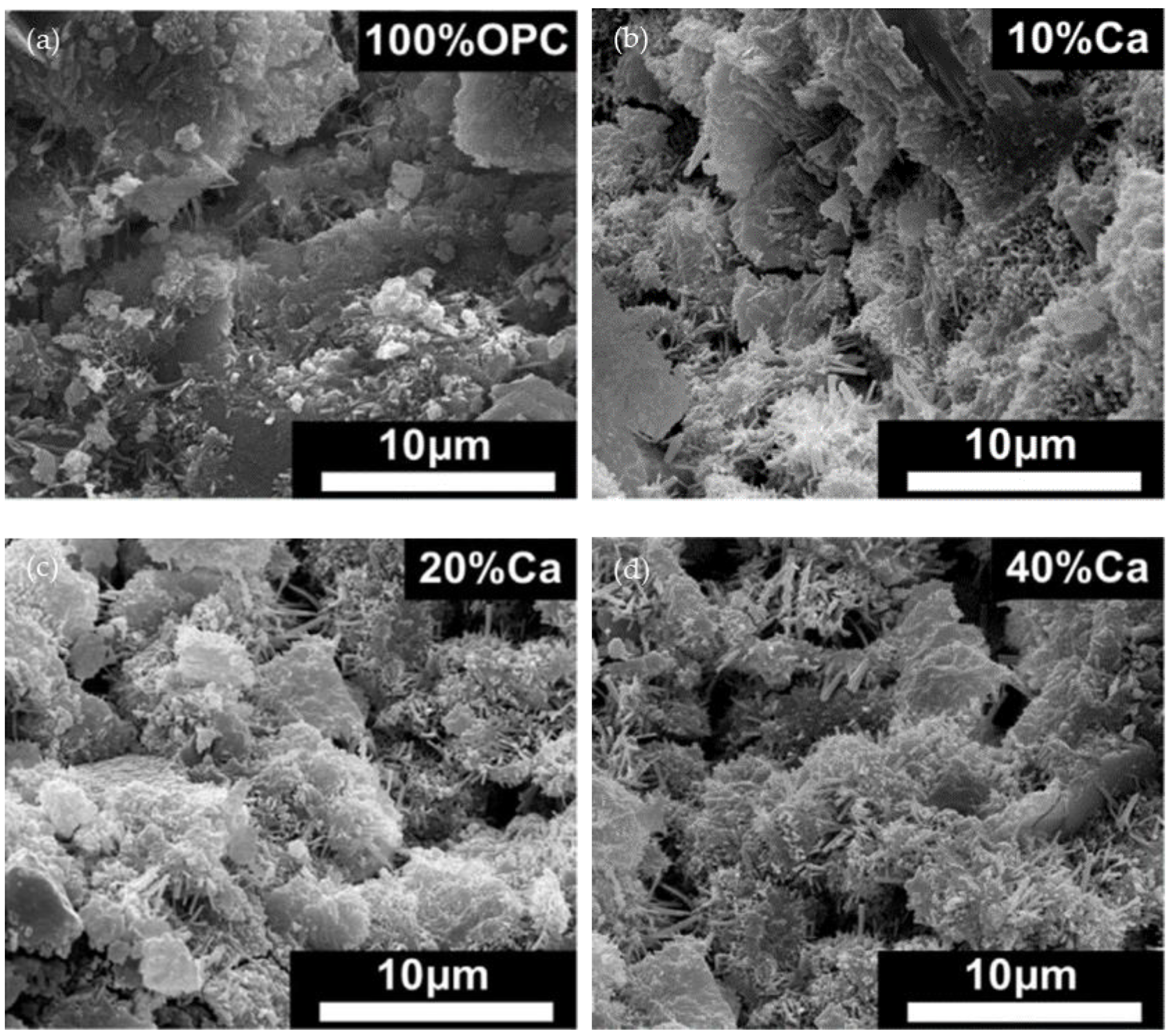 Materials 17 01222 g007