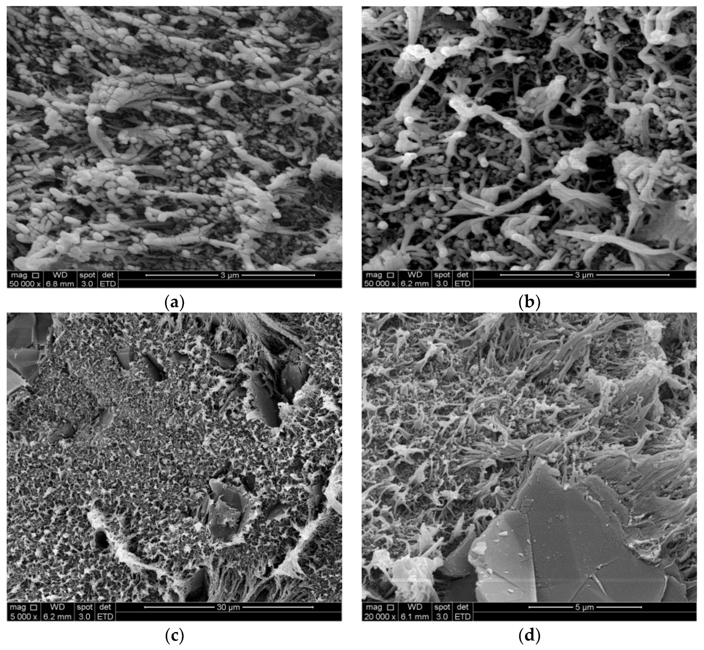 Materials 17 01224 g002