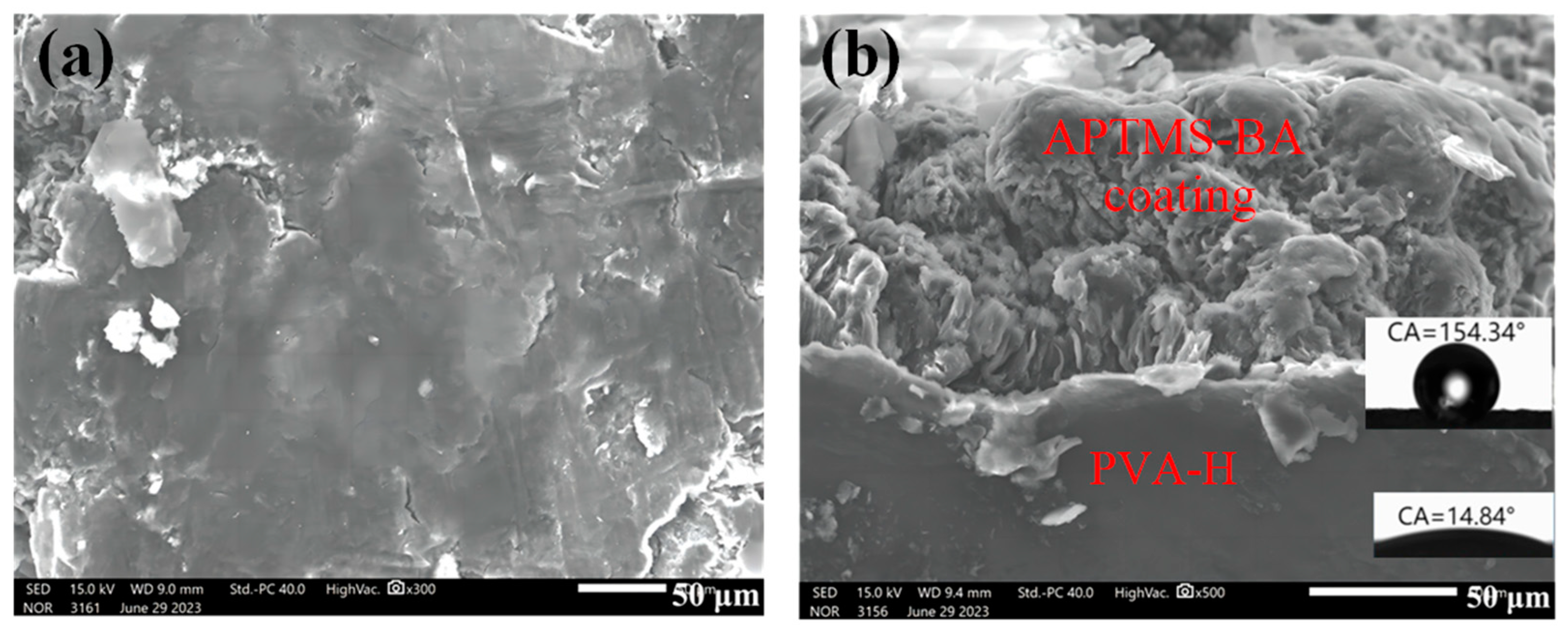 Materials 17 01286 g005
