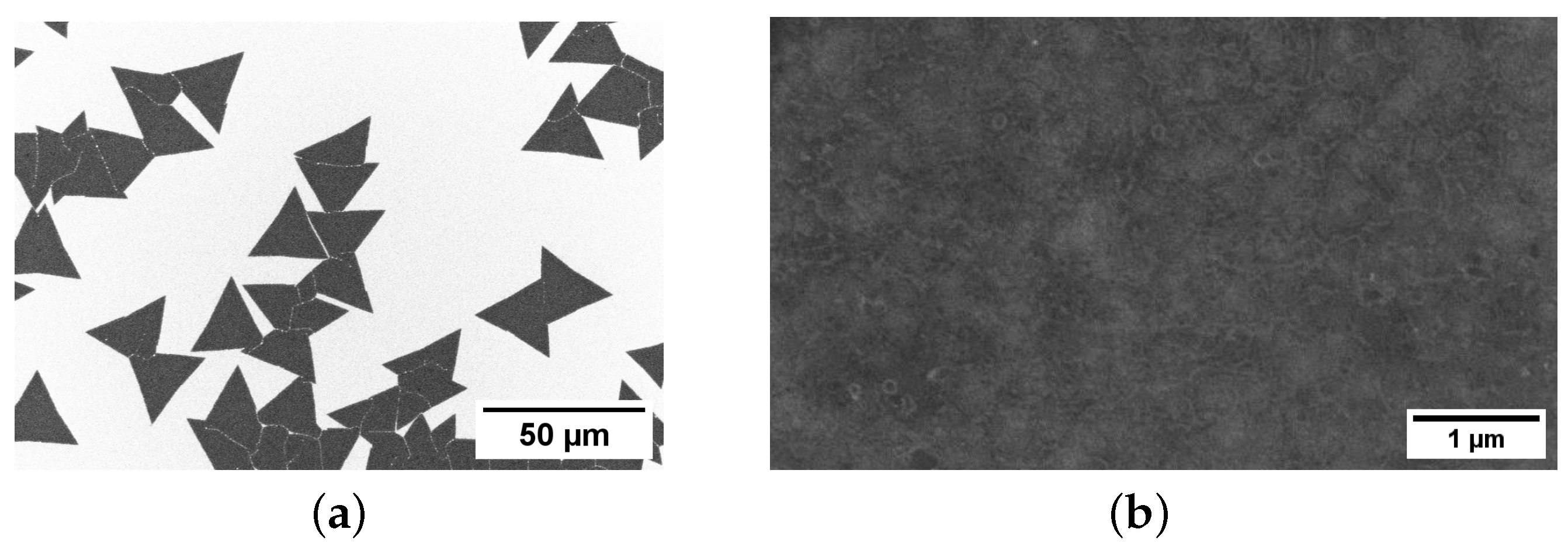 Materials 17 01350 g001