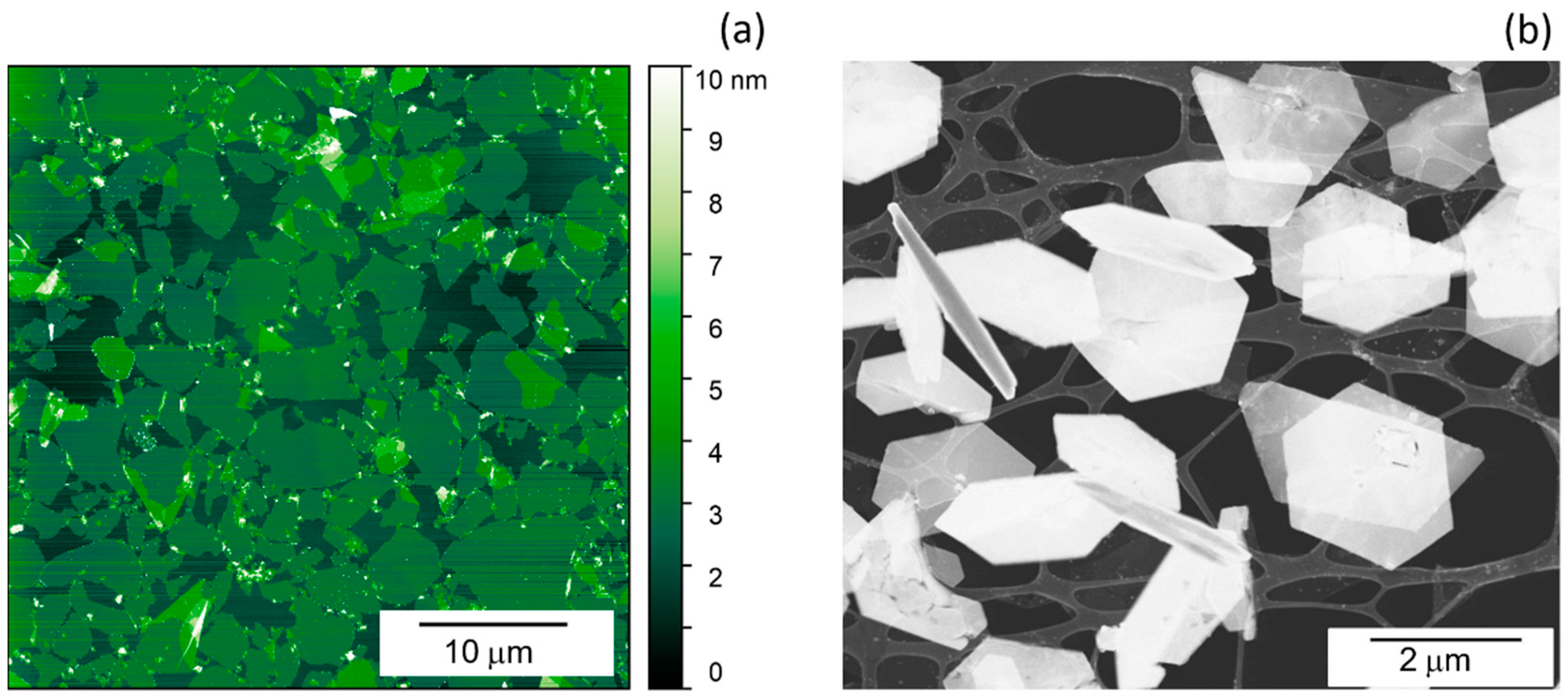 Materials 17 01385 g001