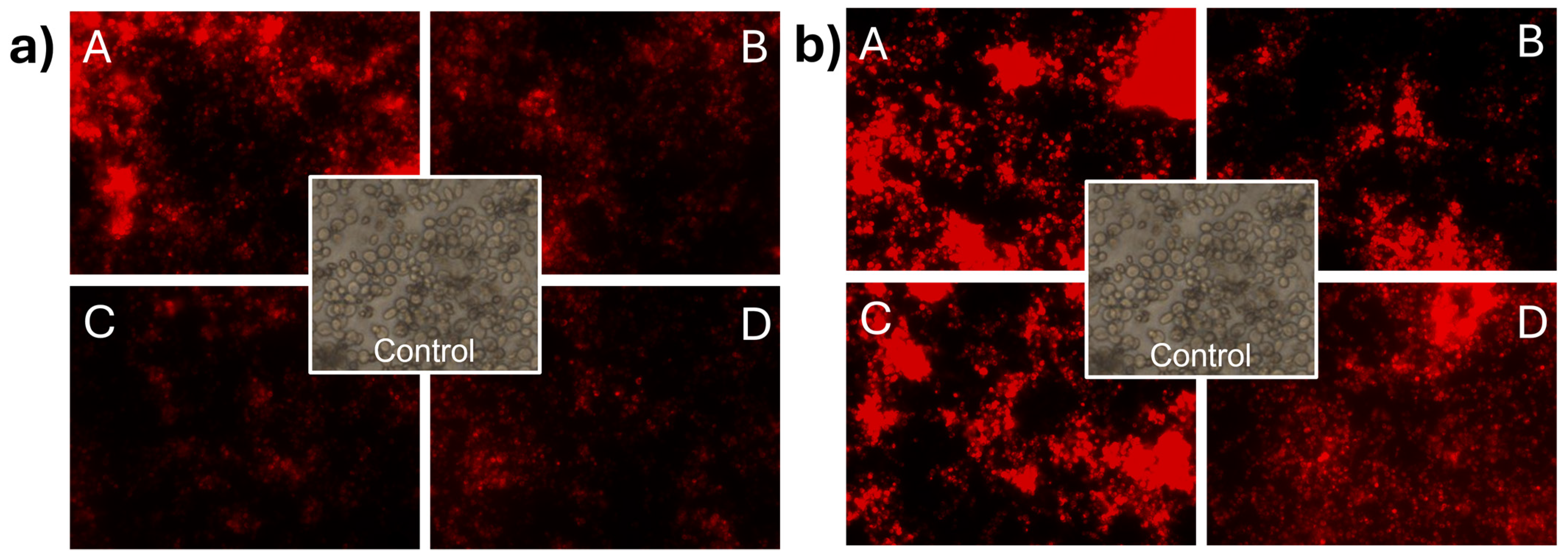 Materials 17 01525 g005