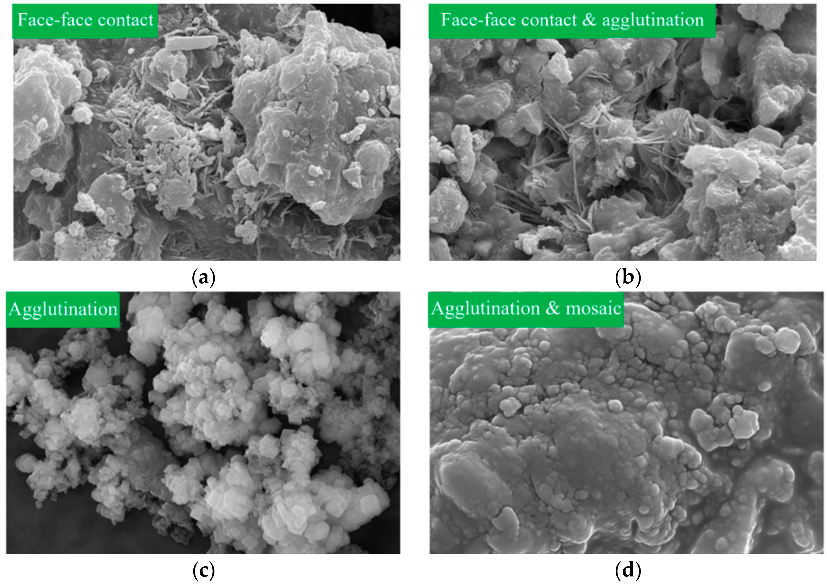 Materials 17 01568 g014