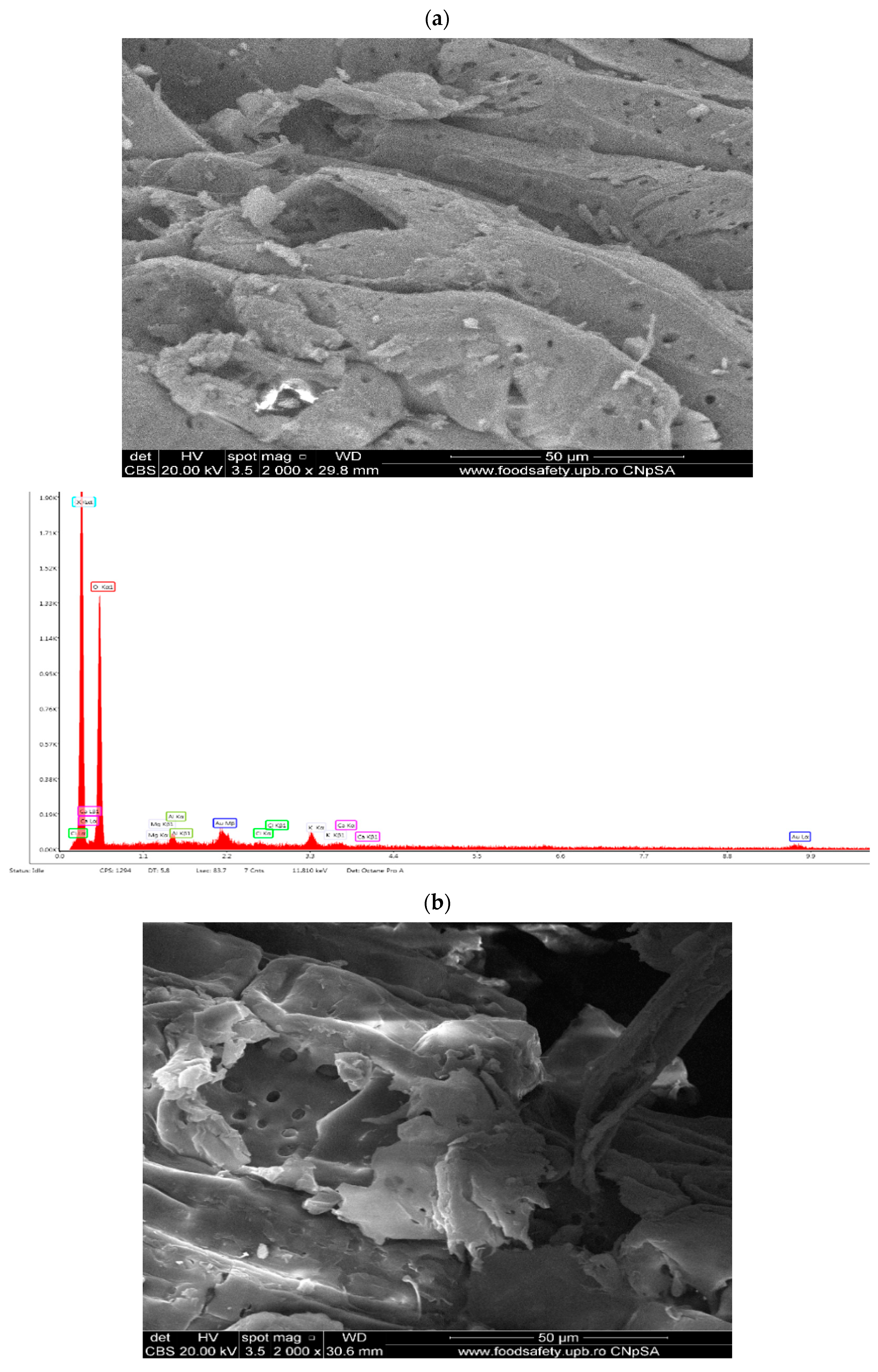 Materials 17 01591 g004a