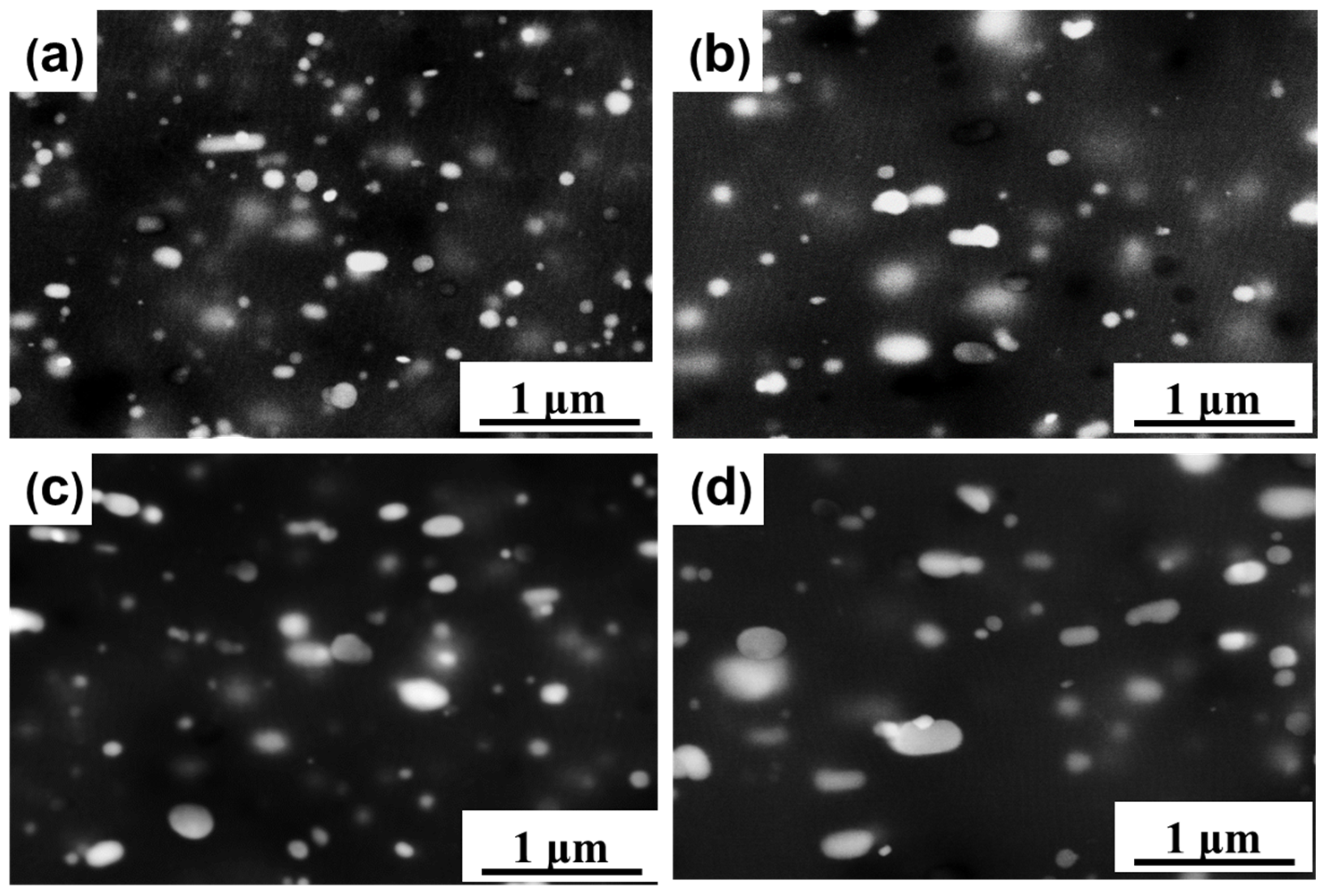 Materials 17 01671 g006